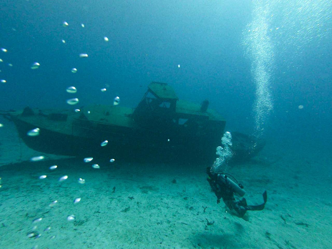 Intro Scuba Dive in Aruba