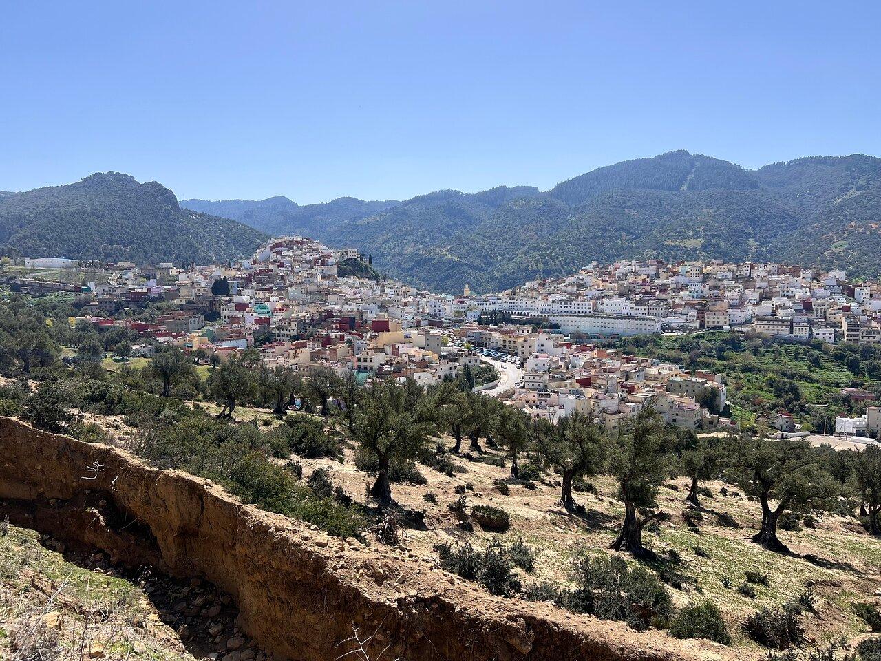 Fes to Volubilis, Moulay Idriss & Meknes Full-Day Tour