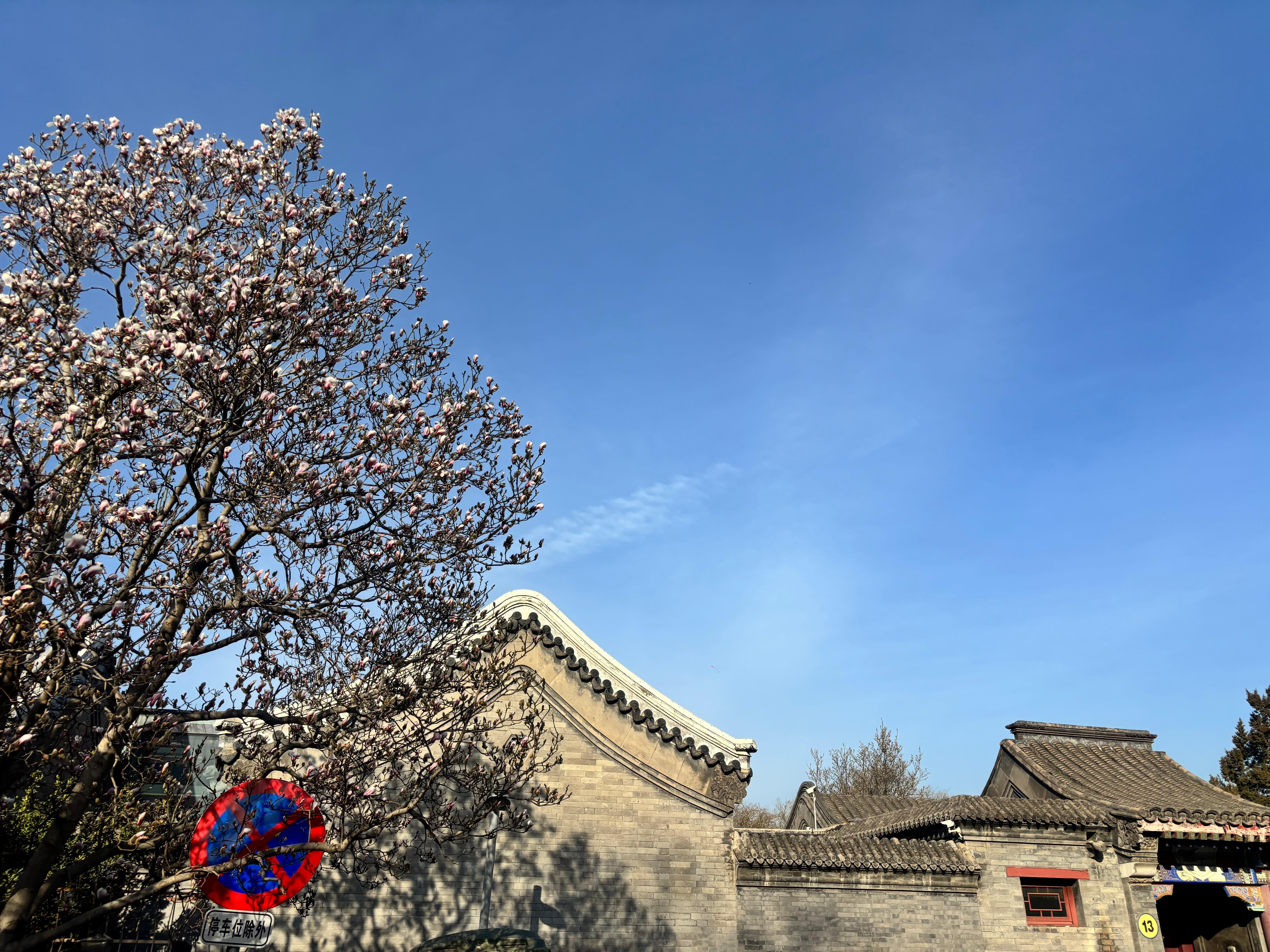 Beijing Private Full-Day Tour: Forbidden City & Mutianyu Great Wall