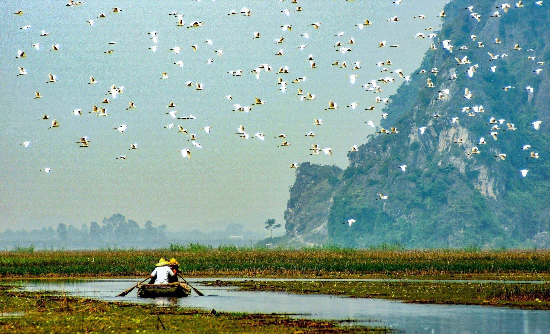 Cuc Phuong National Park & Van Long Wetlands Day Tour from Ninh Binh