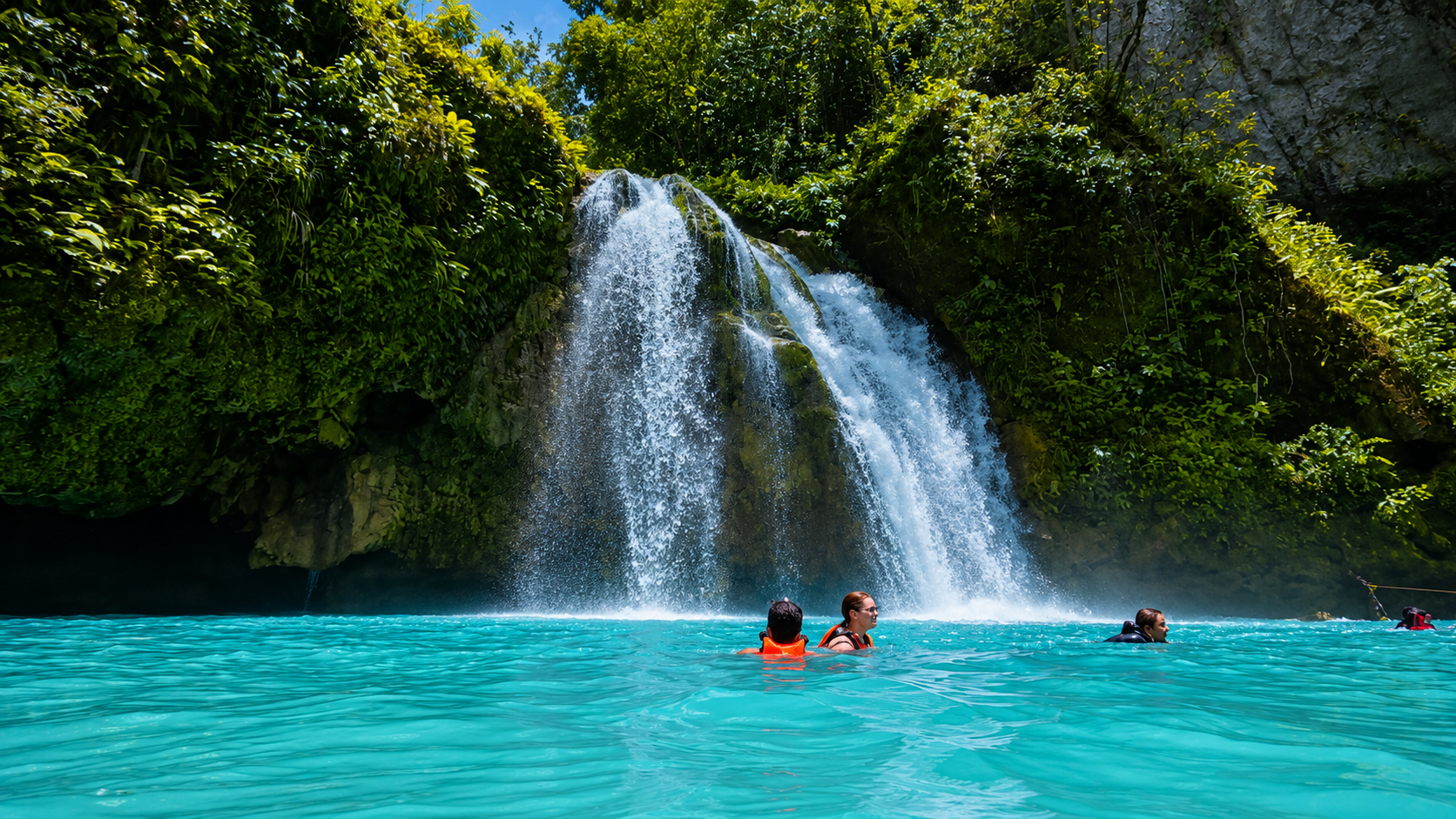 Cebu Whale Shark Swim & Kawasan Falls Canyoneering – Full-Day Adventure