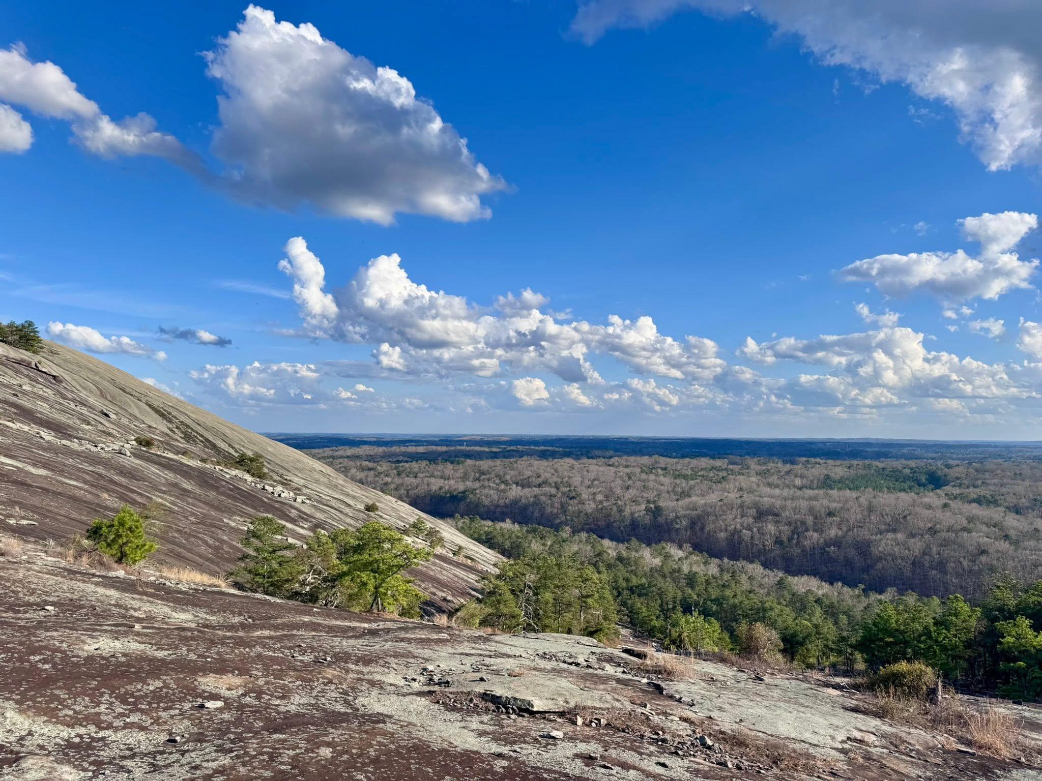 Stone Mountain & Eastern Atlanta Private Half-Day Adventure