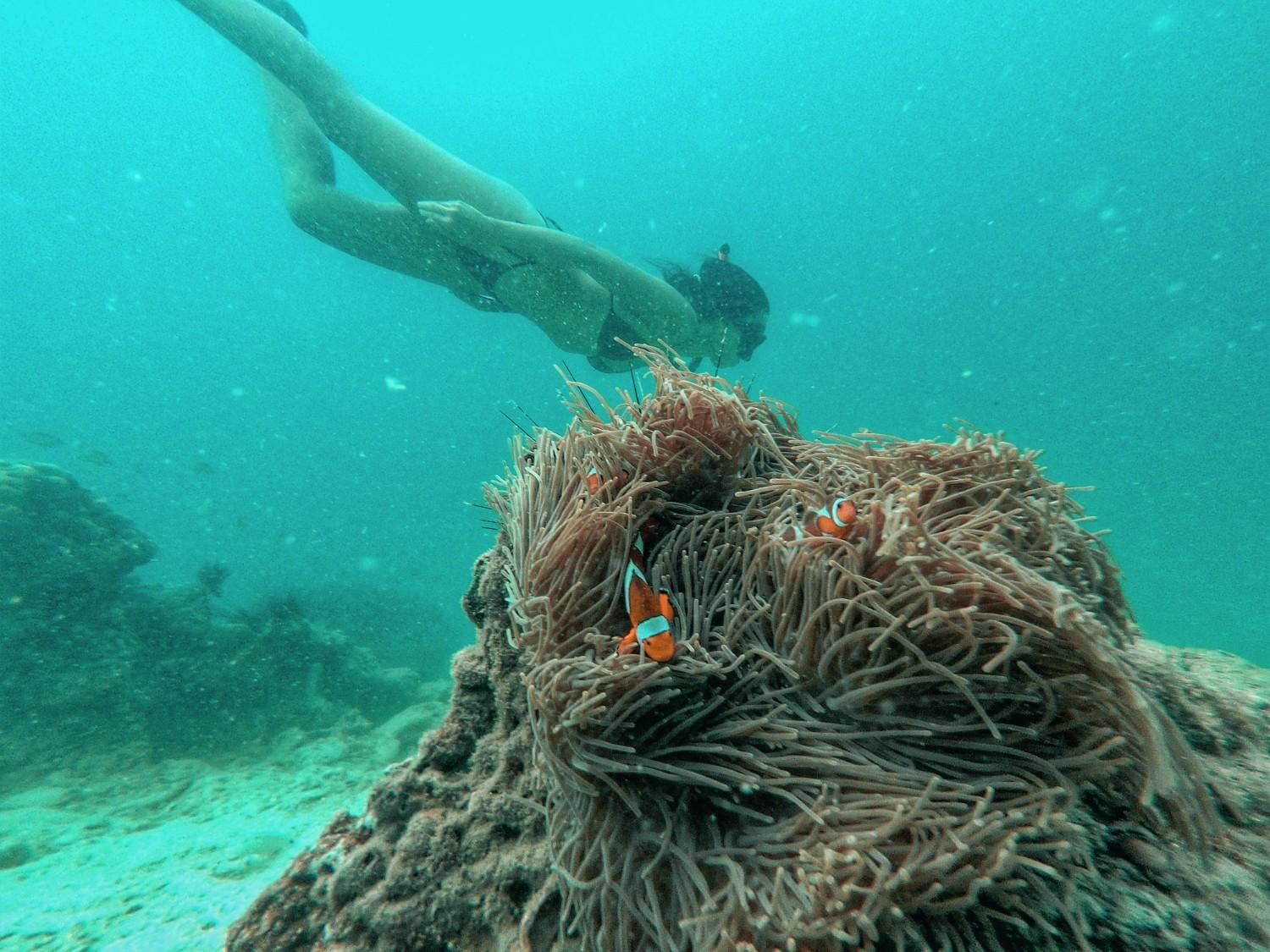 Private Coral Island Longtail Boat Charter from Phuket