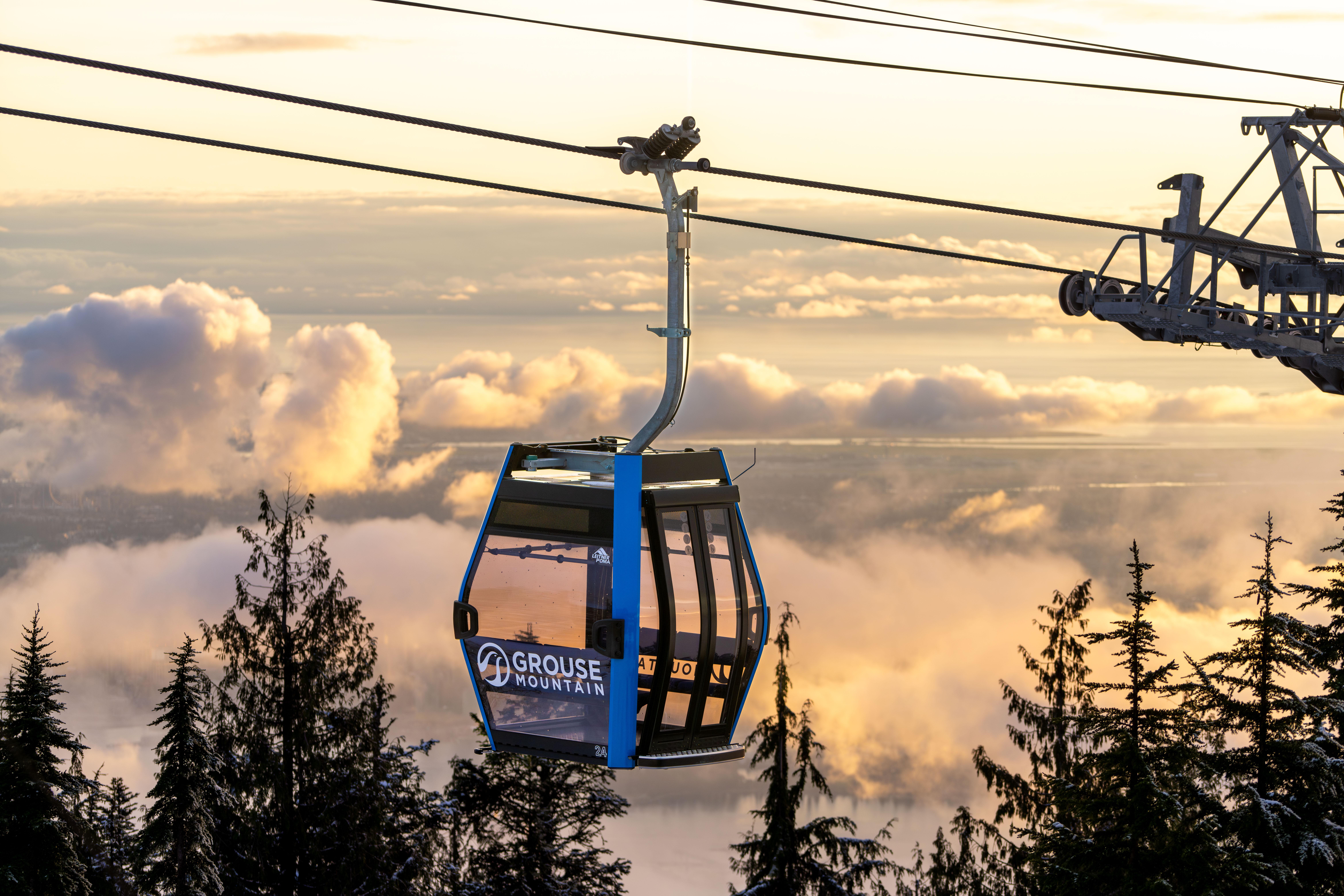 Vancouver North Shore Discovery: Grouse Mountain & Capilano Bridge