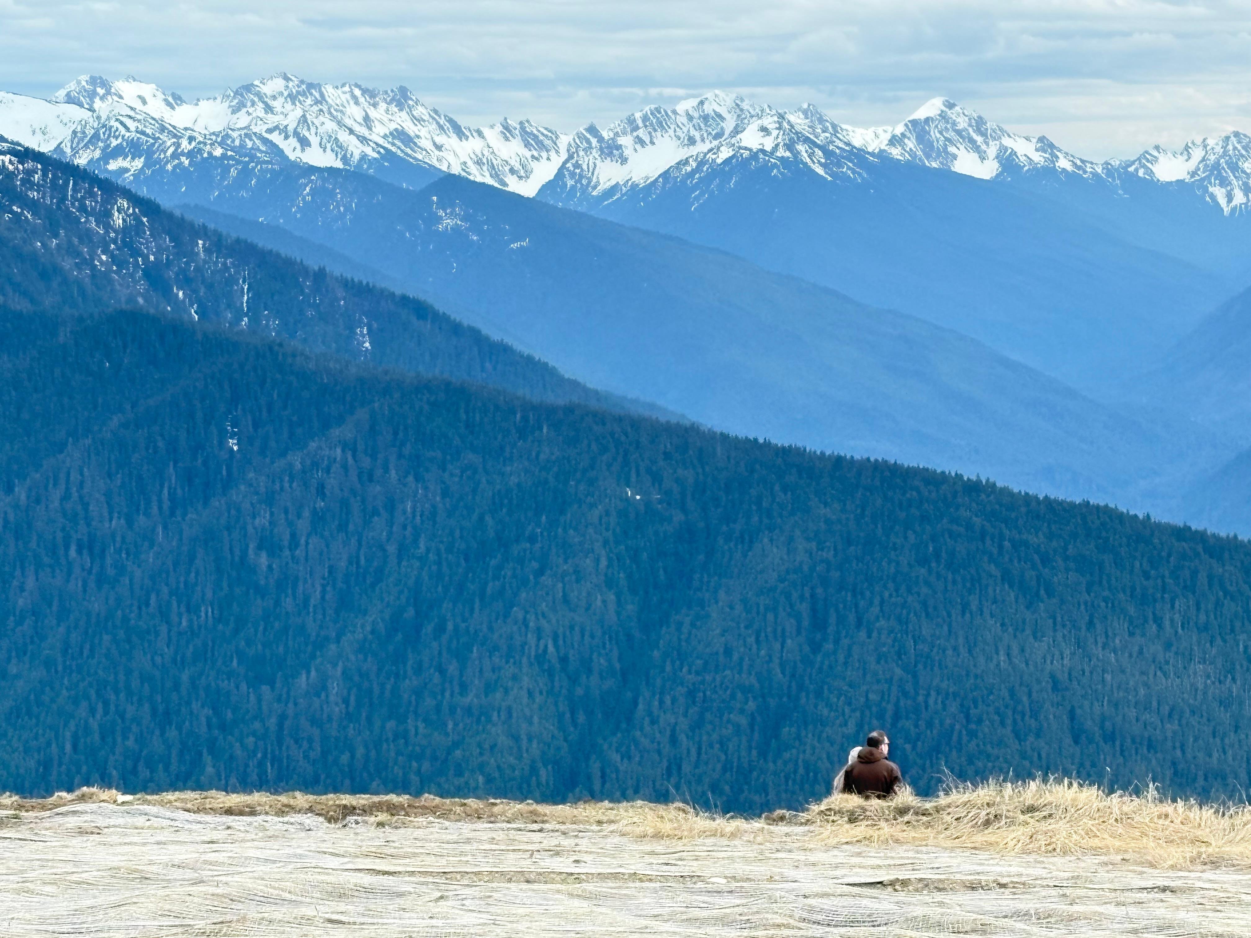 Olympic National Park Day Trip: Hurricane Ridge, Lake Crescent & Rainforest