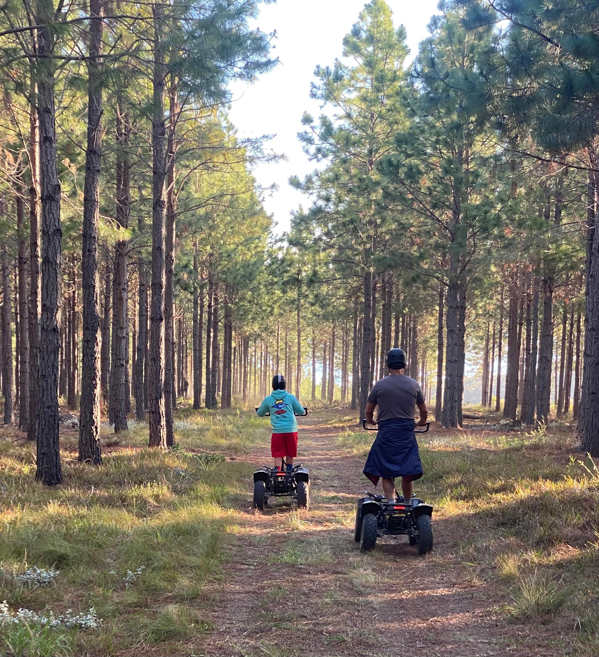 Electric Quad Adventure Through Plettenberg Bay Forest