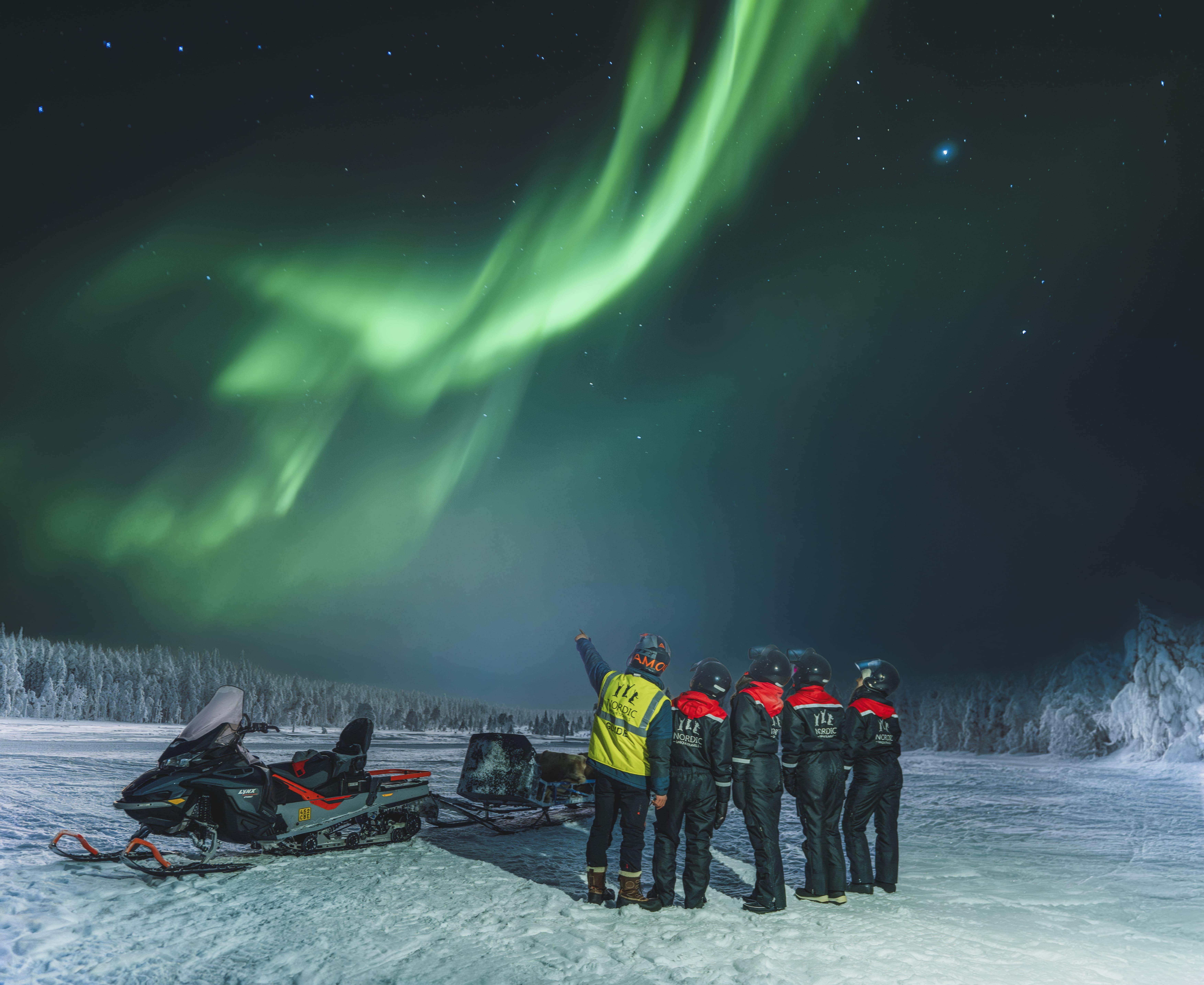 Rovaniemi Northern Lights Sleigh Ride with Lappish BBQ