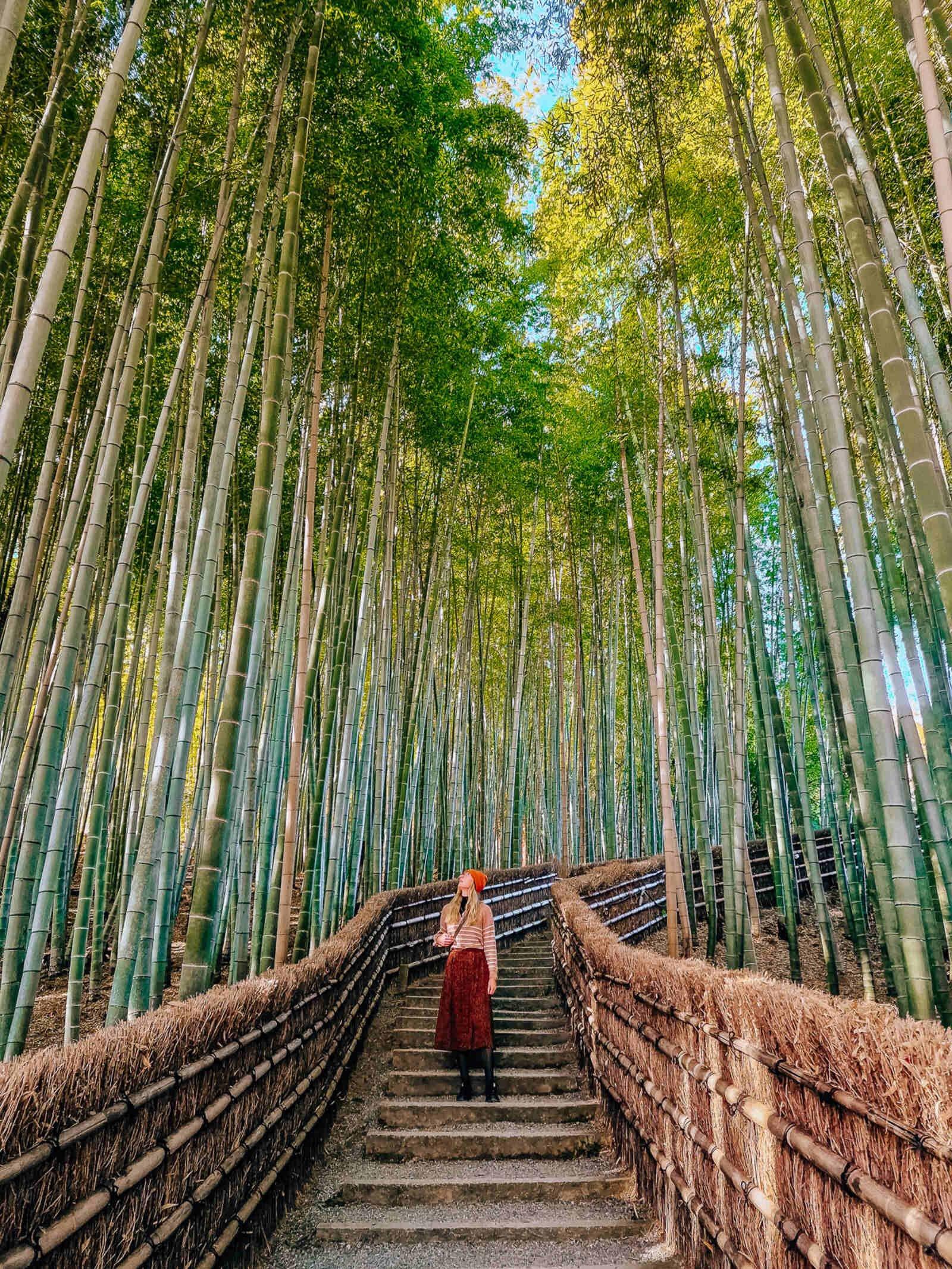 Kyoto Private Day Tour with Guide & Vehicle