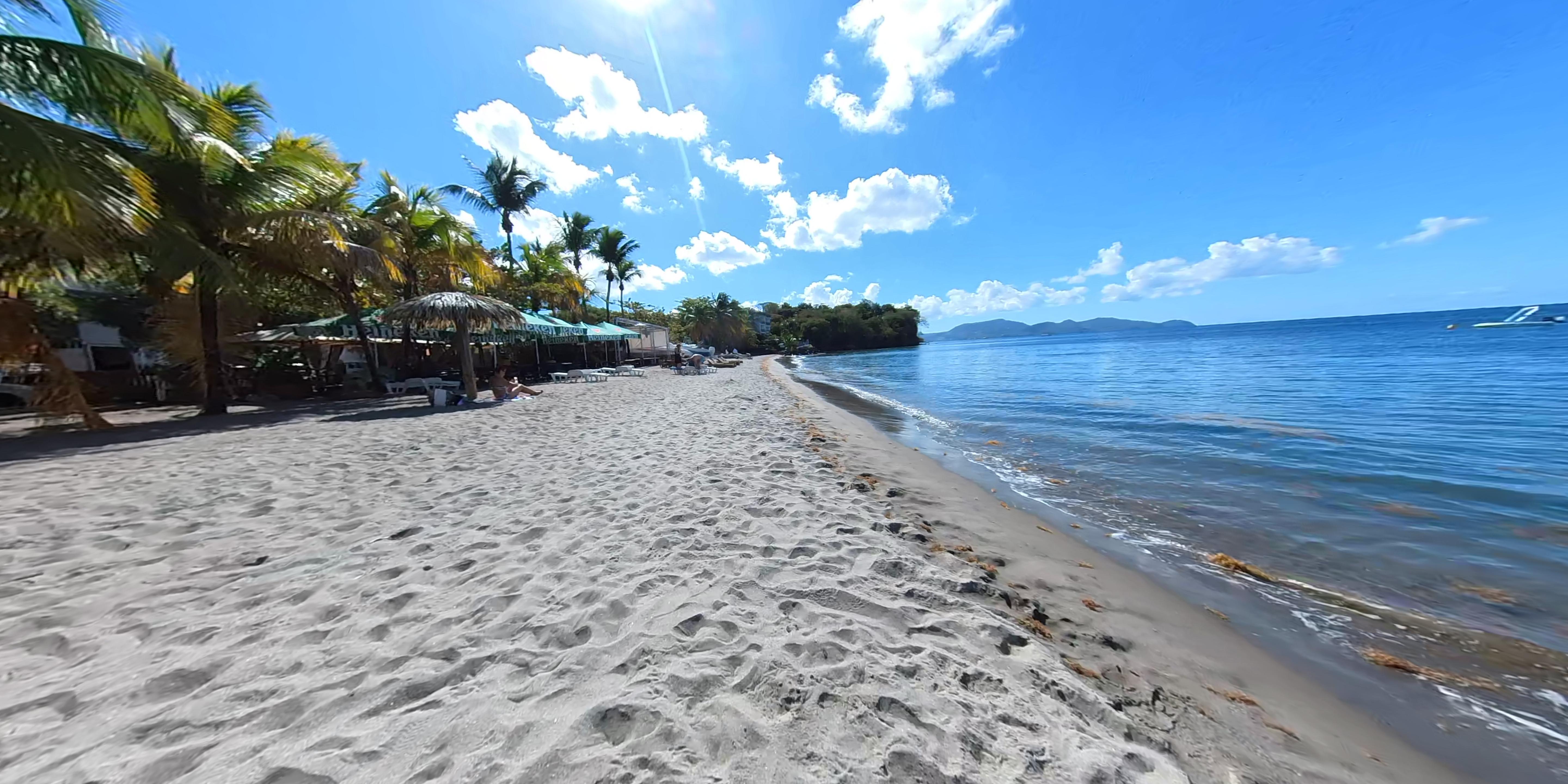 Northern Martinique Discovery with Rum Distillery Visit