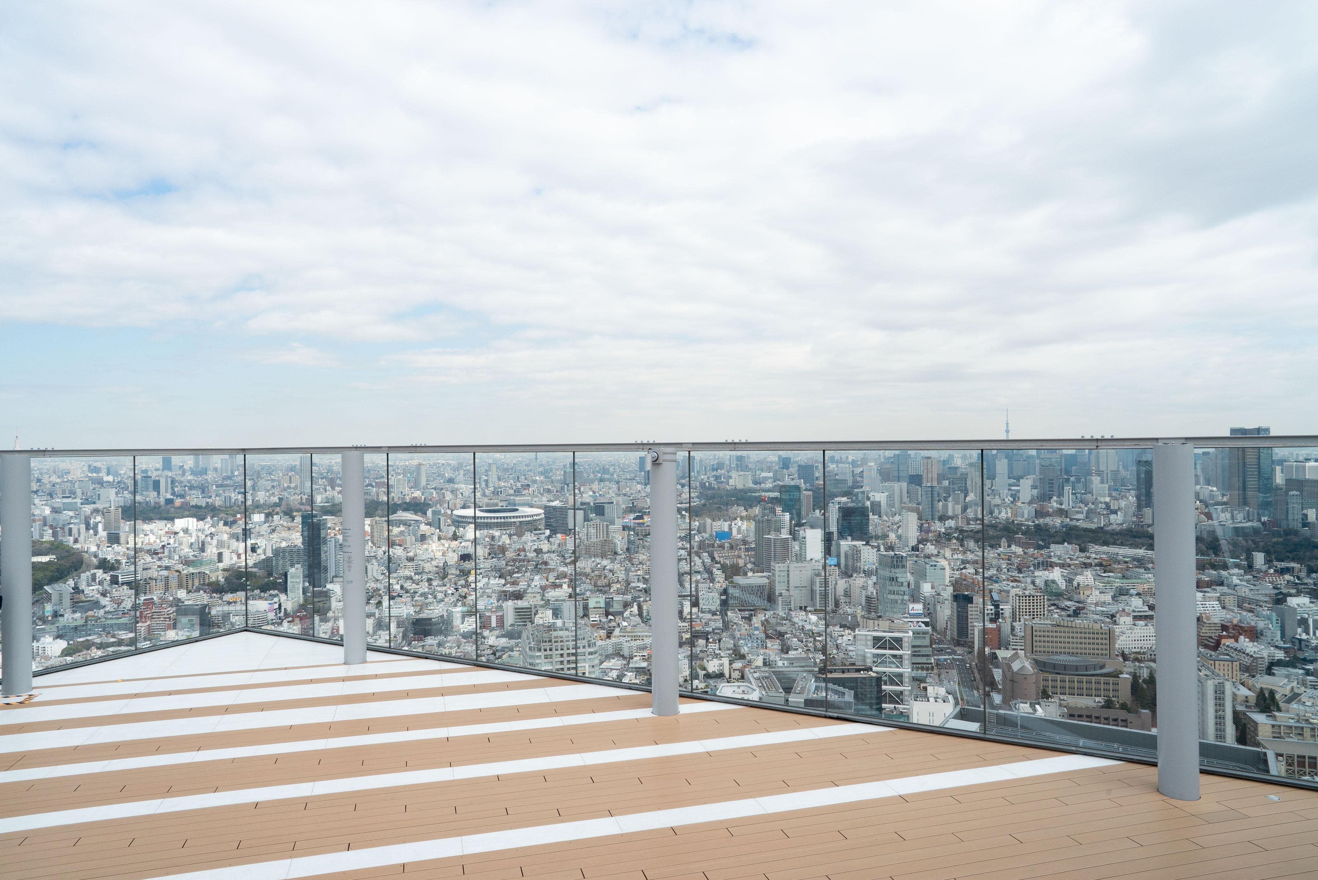 Shibuya Essentials: Hachiko, Sky & Street Culture Walking Tour