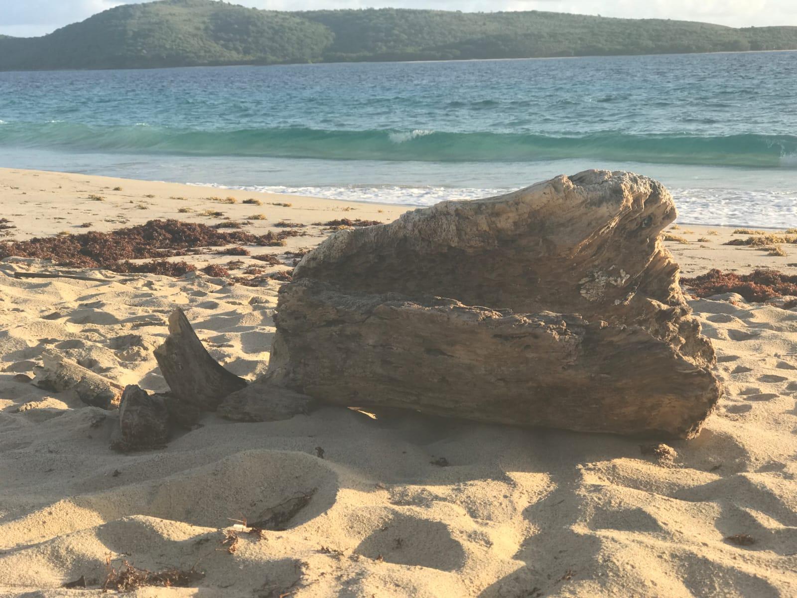 Round-Trip Ferry Terminal Shuttle to Culebra & Vieques