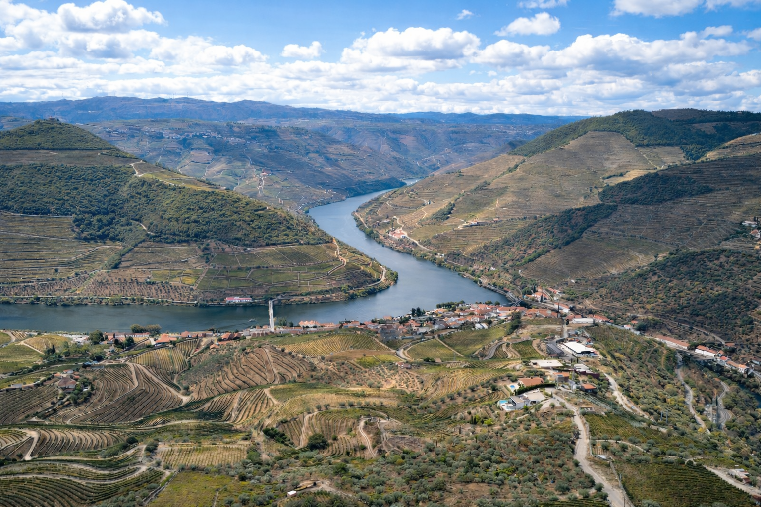 Douro Valley Wine Tour: 2 Wineries, Lunch & River Cruise