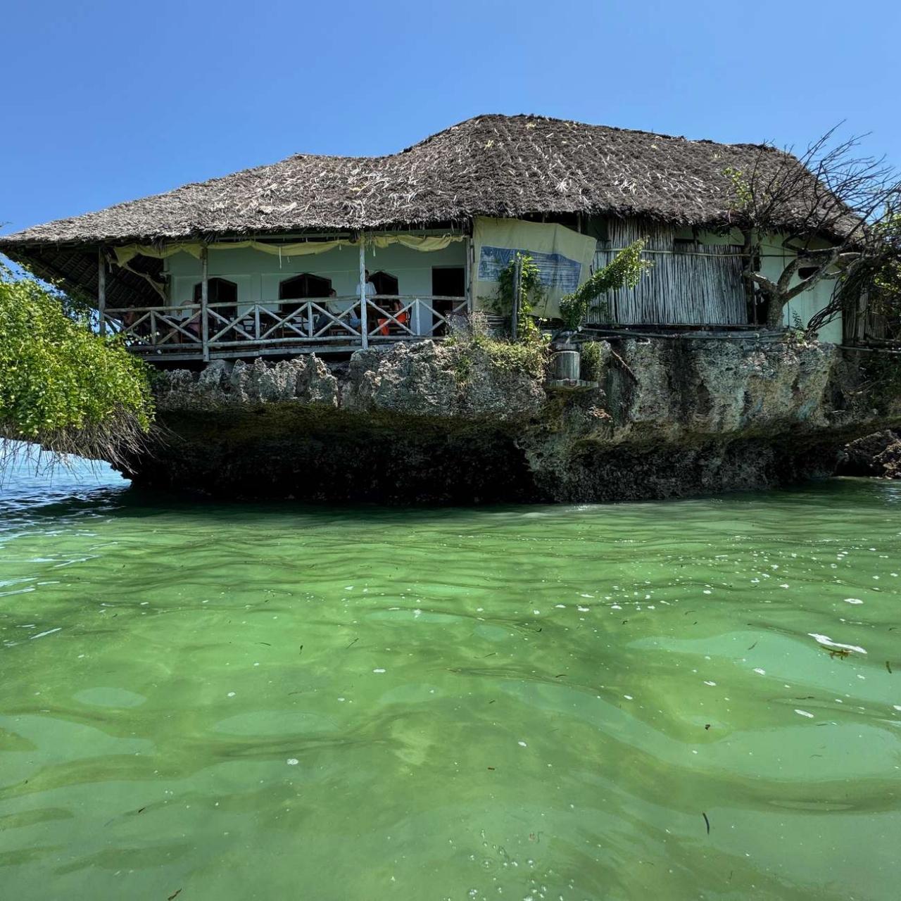 Zanzibar Jozani Forest & The Rock Restaurant Day Tour