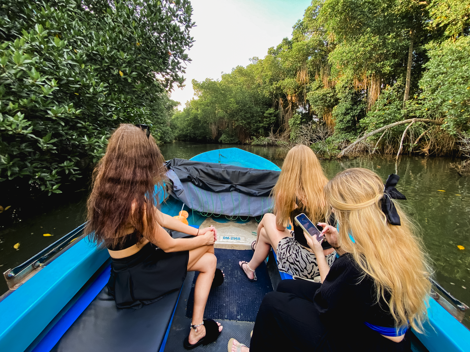 Bentota River Safari: Mangroves, Crocodiles & Wildlife Cruise