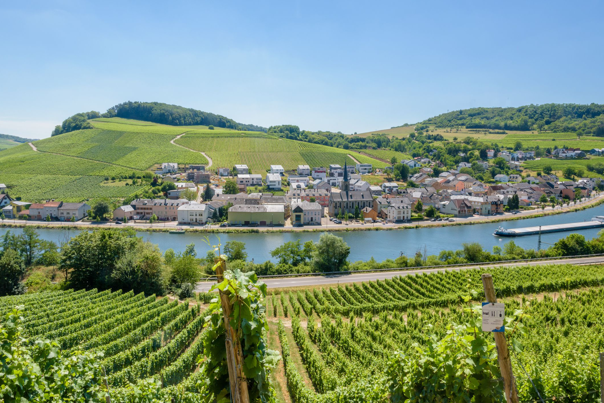 Moselle Valley Wine & River Discovery