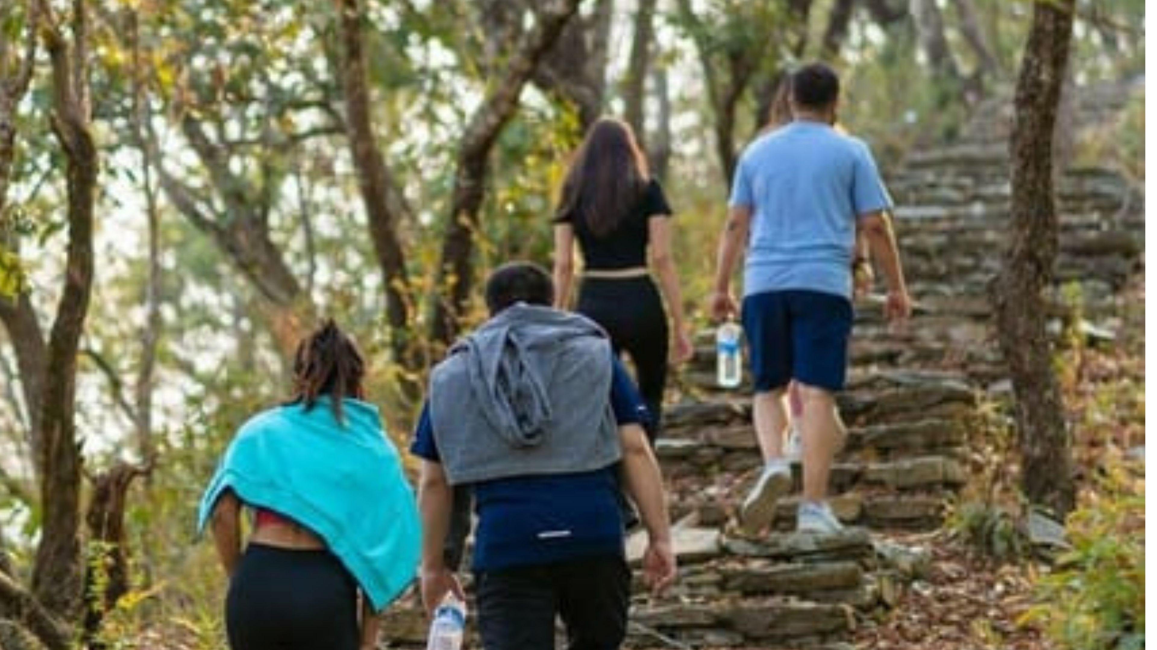 Annapurna Foothills Day Hike from Pokhara with Transfers
