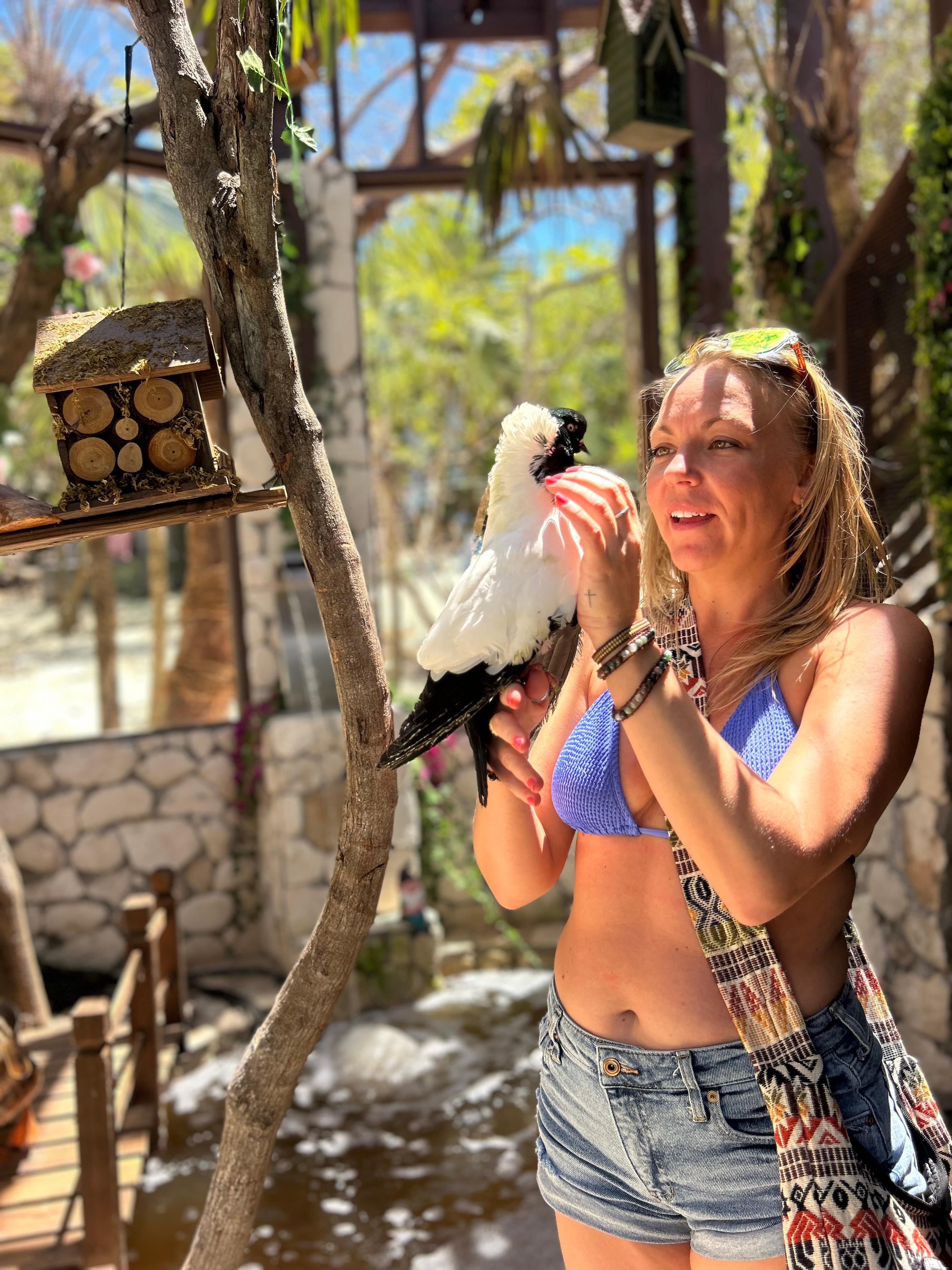 Nassau Powerboat Adventure: Snorkeling, Turtles & Private Beach Club