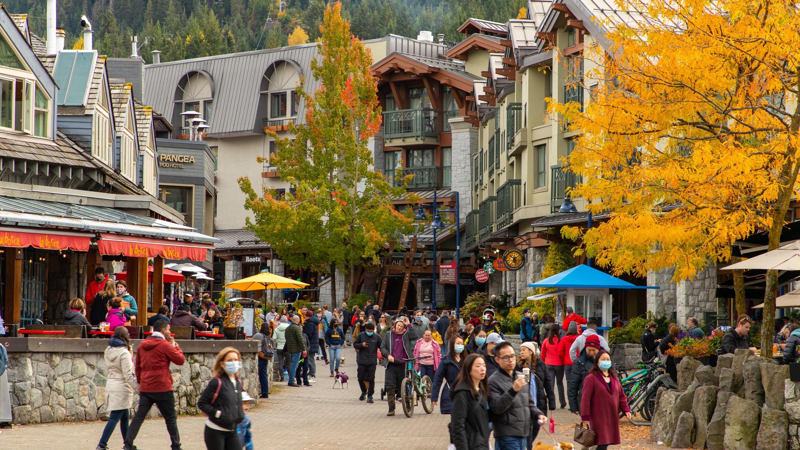 Private Vancouver to Whistler Transfer with Scenic Stops