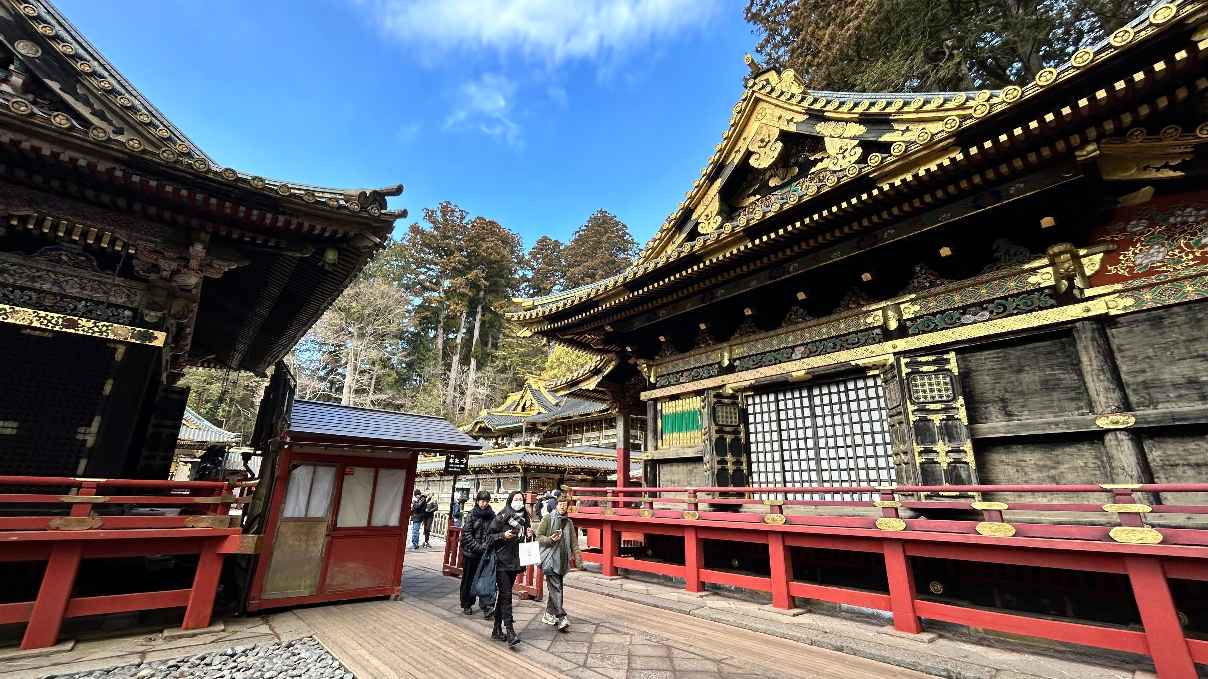 Nikko Day Trip: Toshogu Shrine, Kegon Falls & Lake Chuzenji from Tokyo