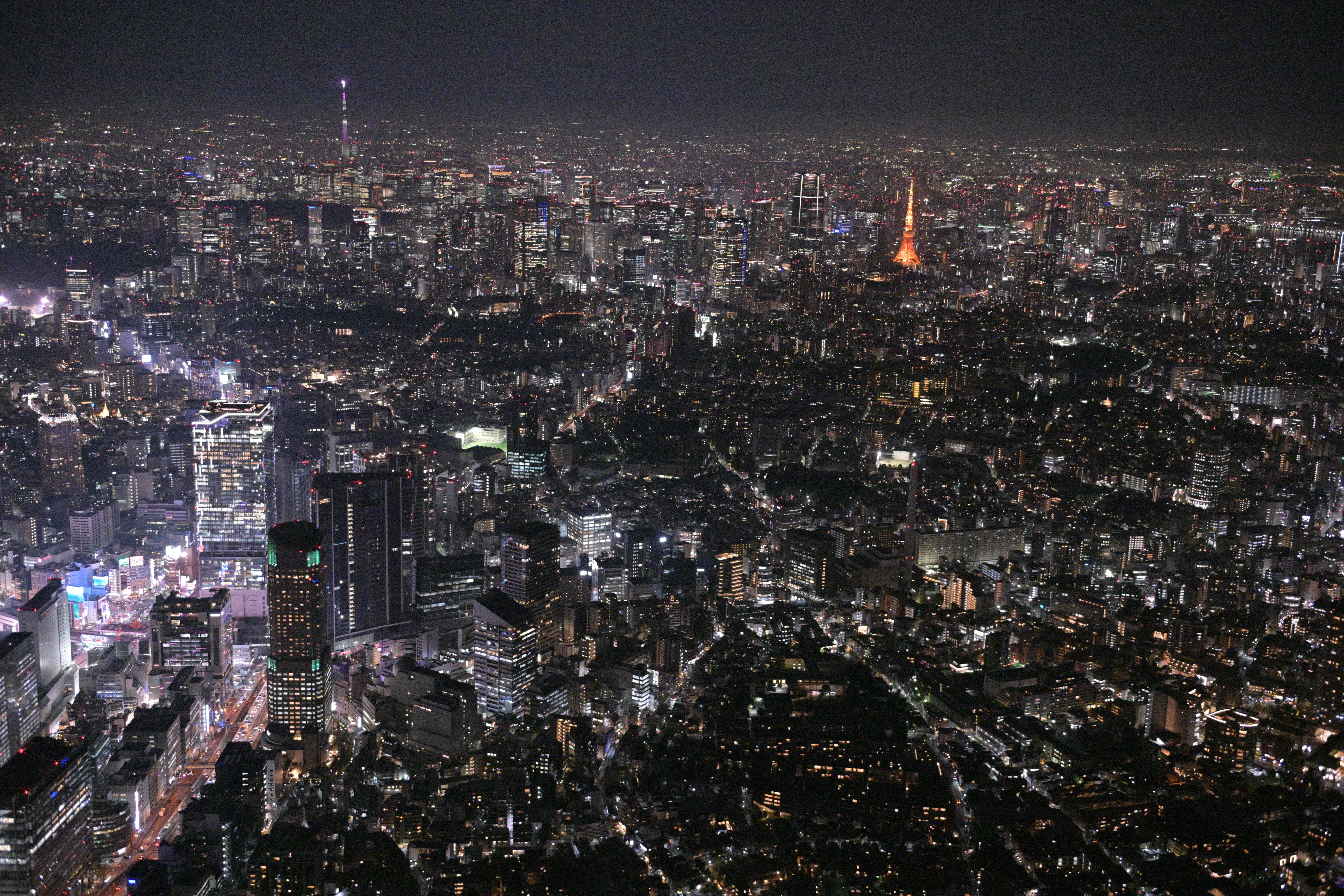Tokyo helicopter tour view — image 1