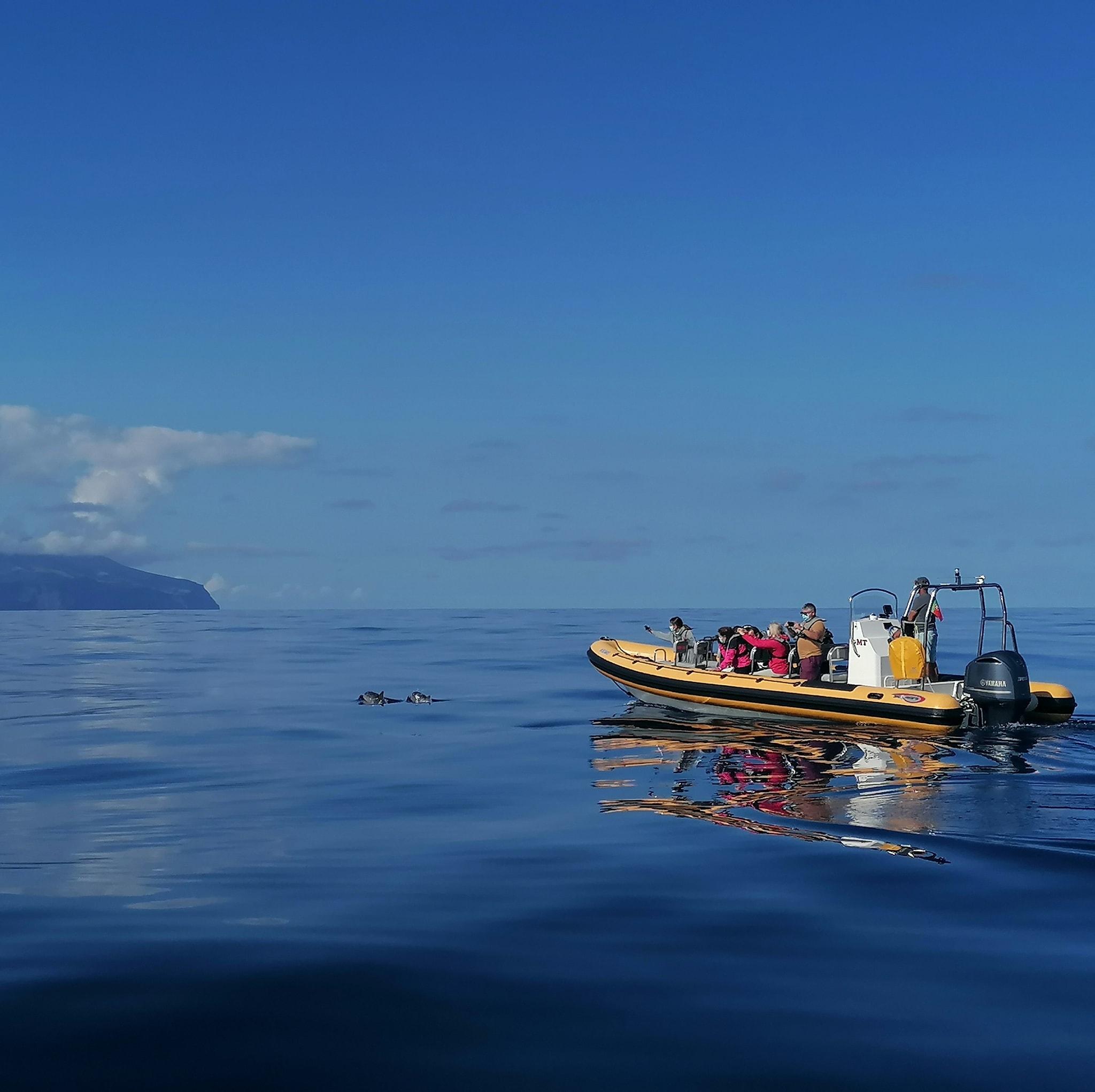 Corvo Island Boat Expedition from Santa Cruz das Flores