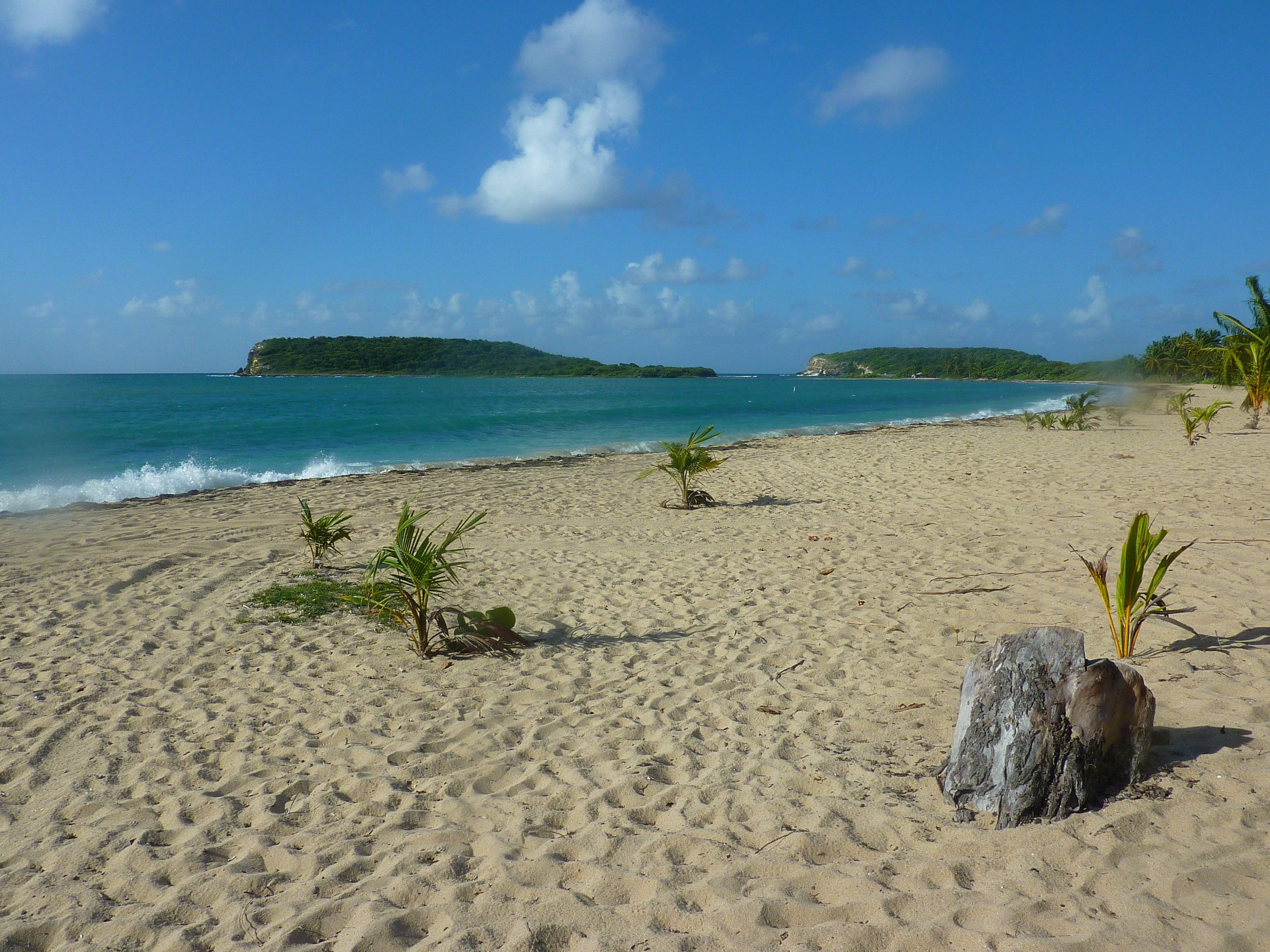Culebra Island All-Inclusive Snorkel Cruise from Fajardo
