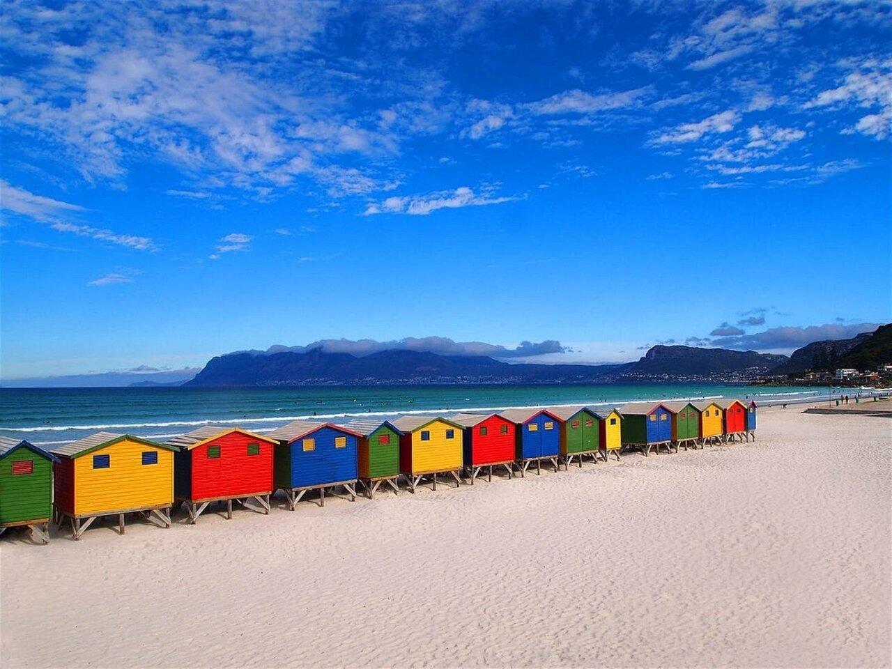 Penguins & Cape of Good Hope Coastal Tour