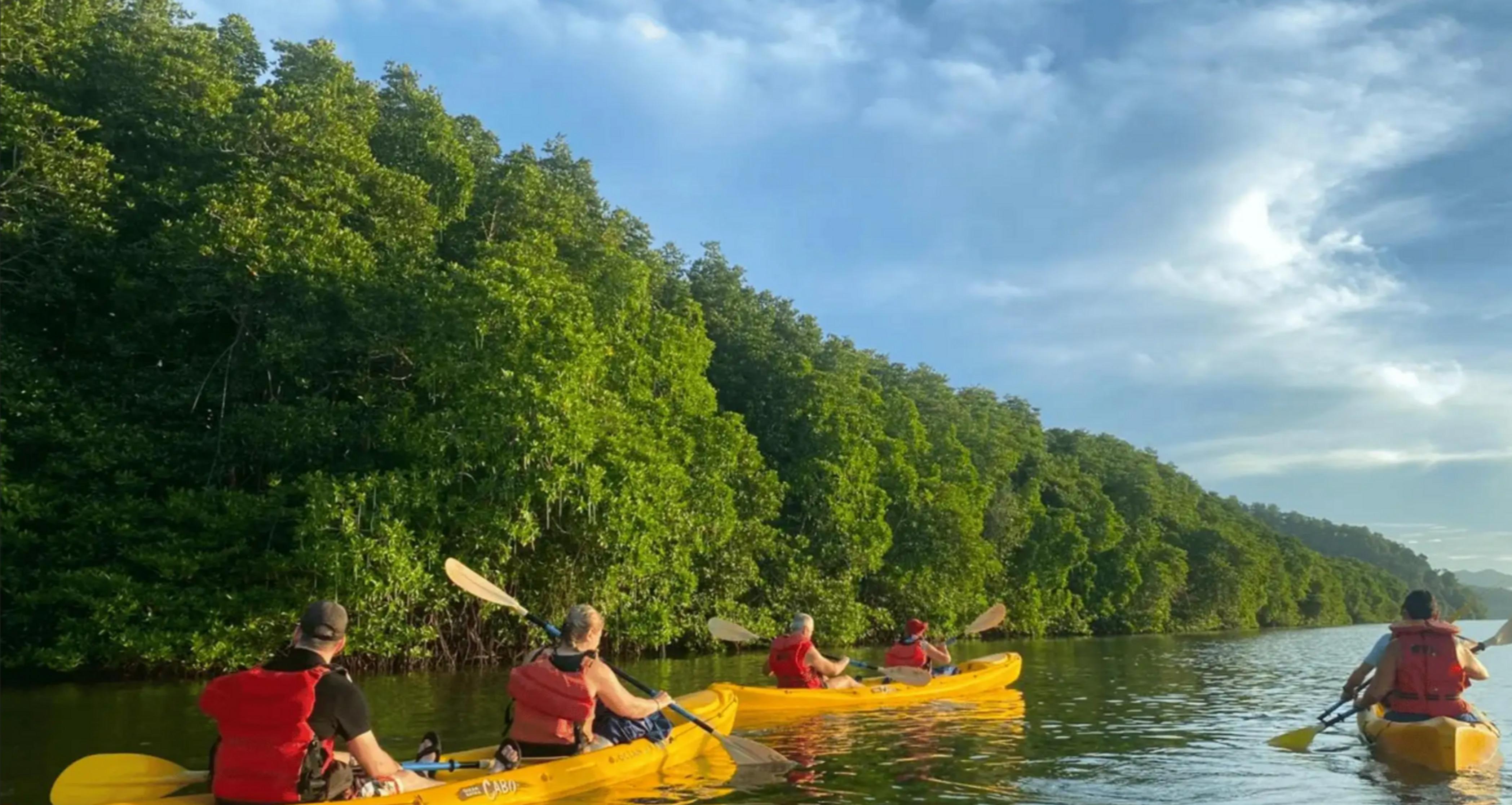 Samana: ATV Adventure, Kayaking, and Natural Pools