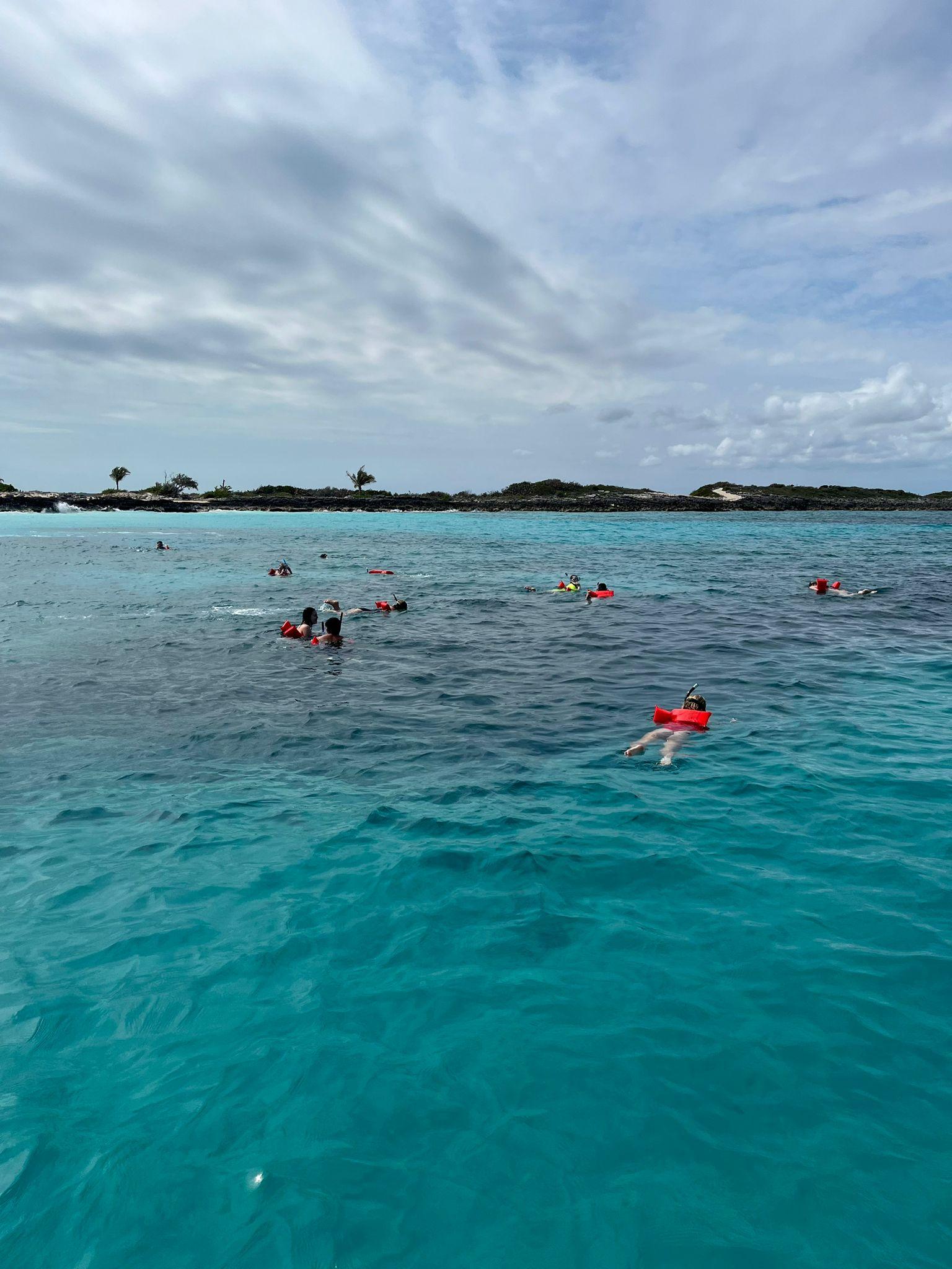 Nassau 3-Island Speedboat Adventure: Pigs, Turtles & Snorkeling