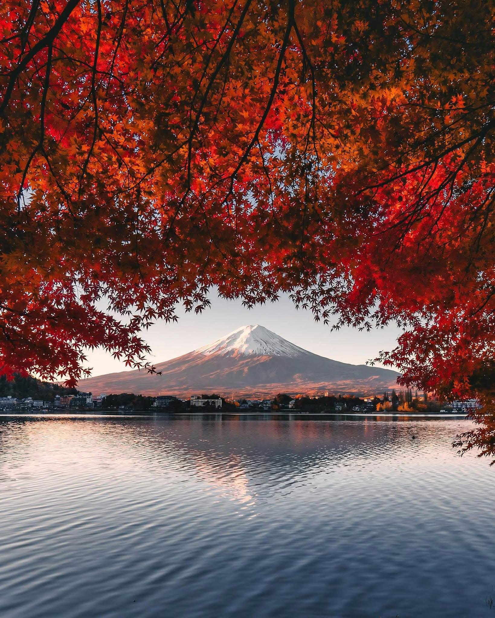 Tokyo to Mt. Fuji Private Luxury Day Tour with Hotel Pickup