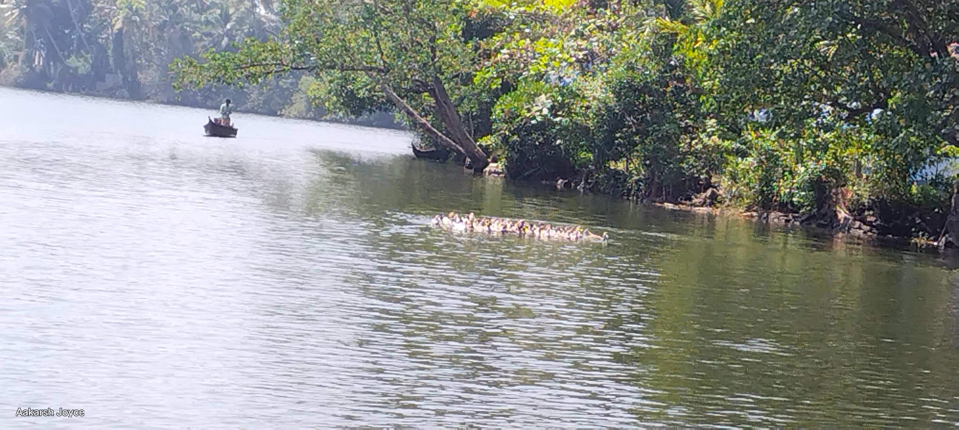 Kochi Backwater Village Immersion with Traditional Sadya Lunch