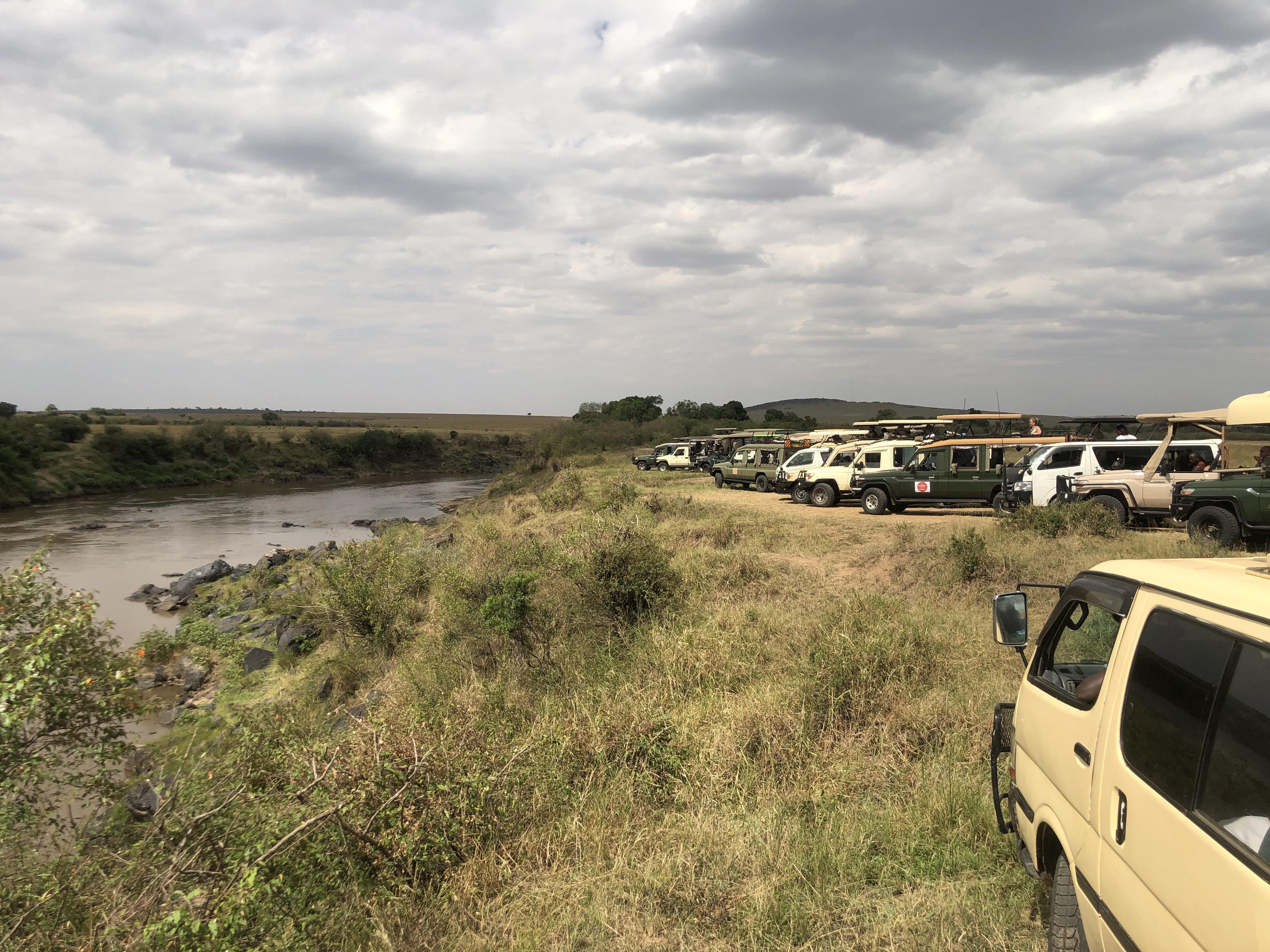 Maasai Mara Express: 1-Day Safari from Nairobi