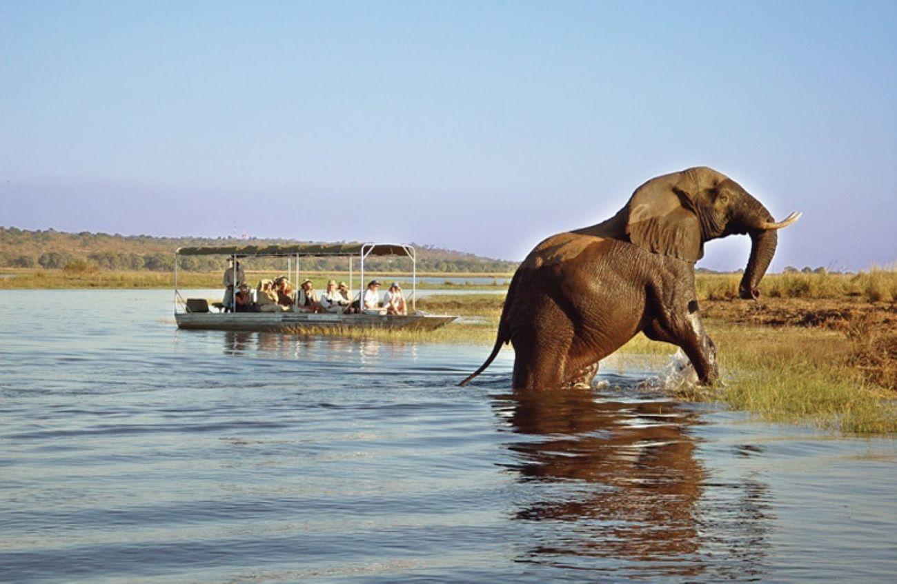Chobe Safari & Boma Dinner from Victoria Falls
