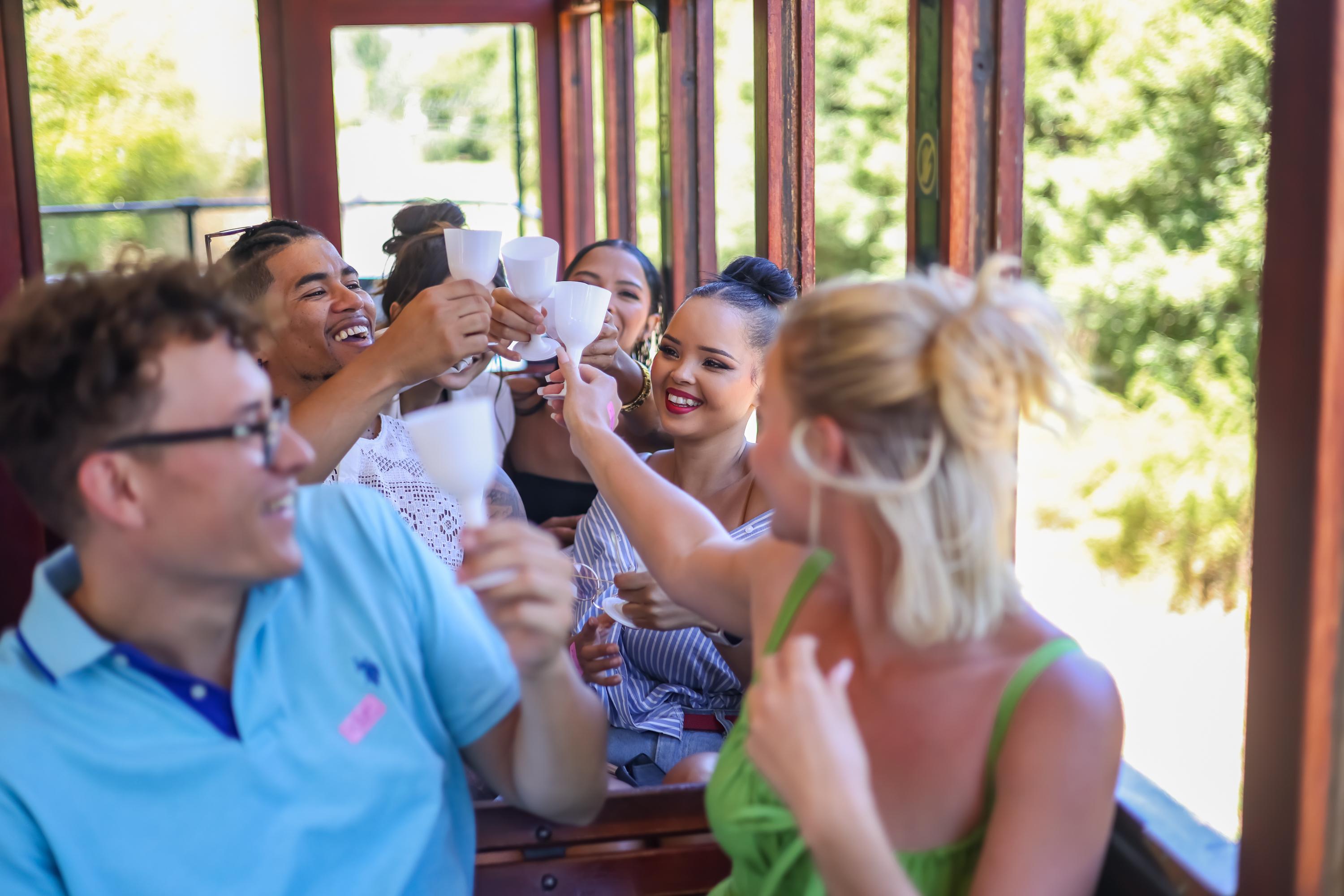 Cape Town Full-Day Wine Tasting & Wine Tram Tour