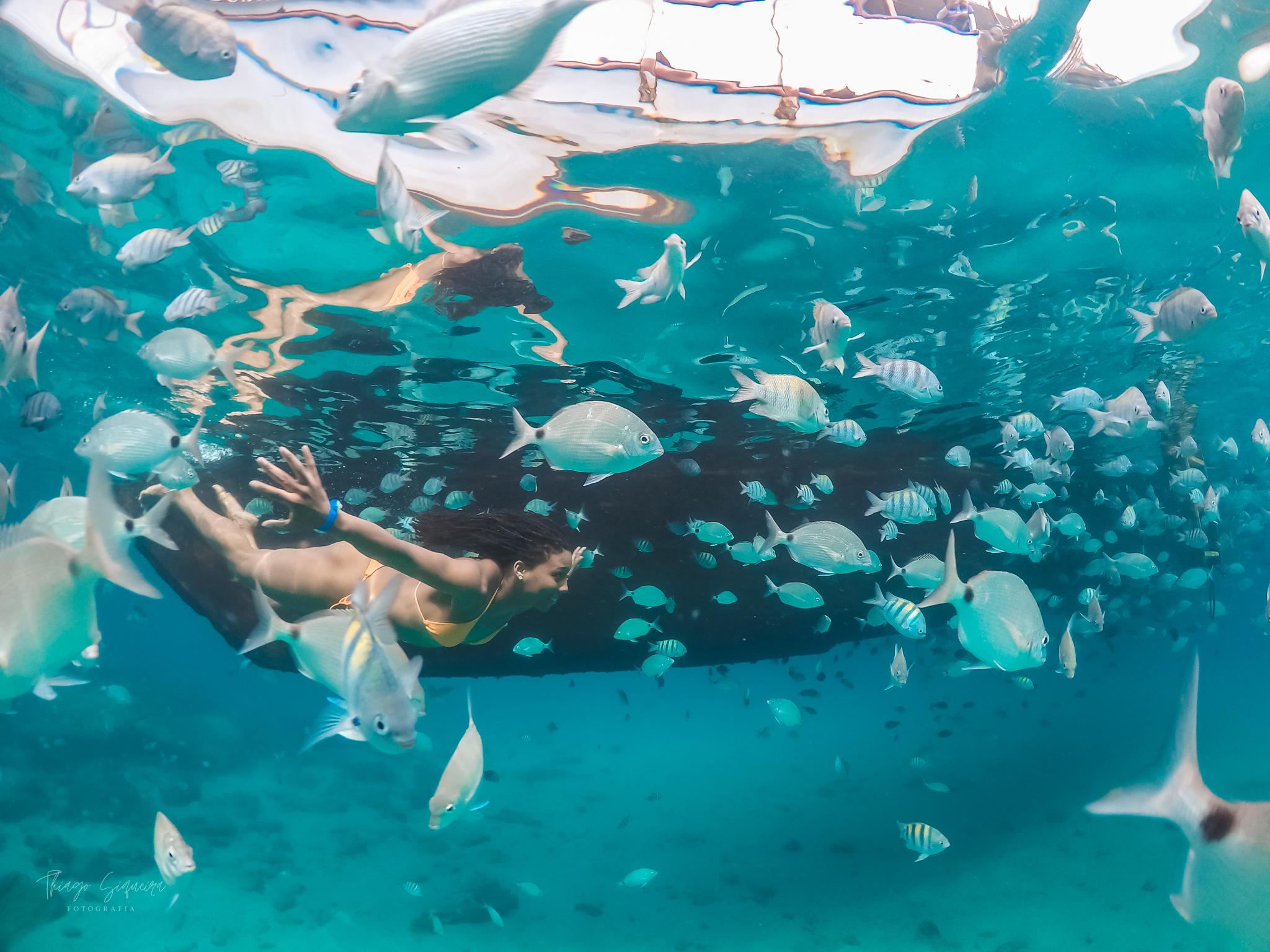Ilha Grande Speedboat Day Trip with Hotel Transfer from Rio