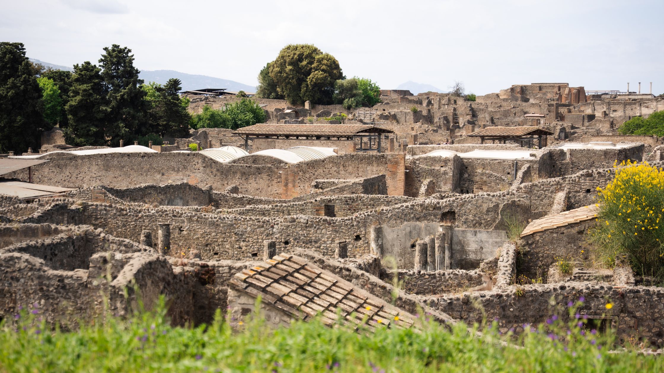 Pompeii Discovery: High-Speed Train, Wine Tasting & Lunch