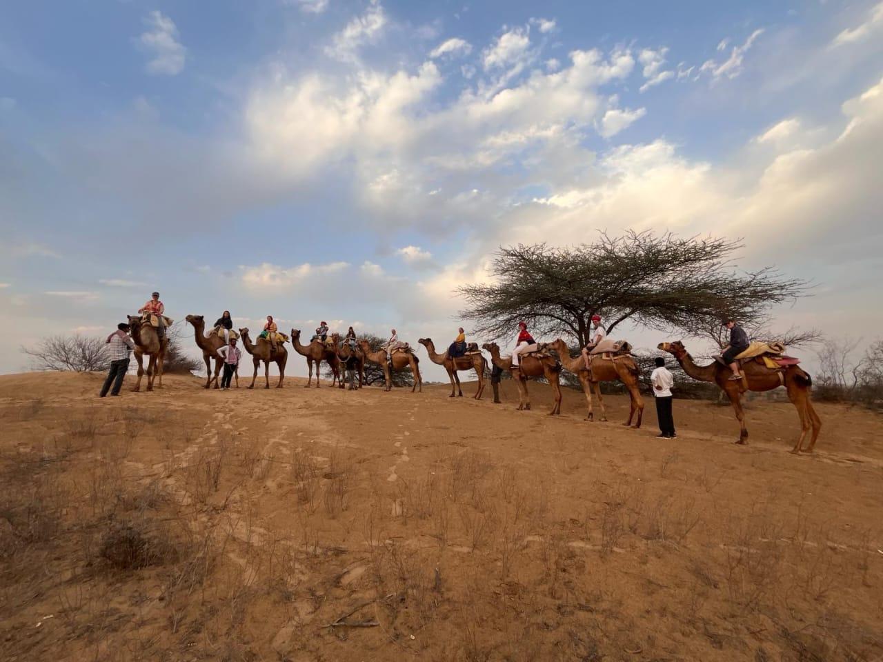 Jodhpur: Thar Desert Camel & Jeep Safari with Traditional Dining