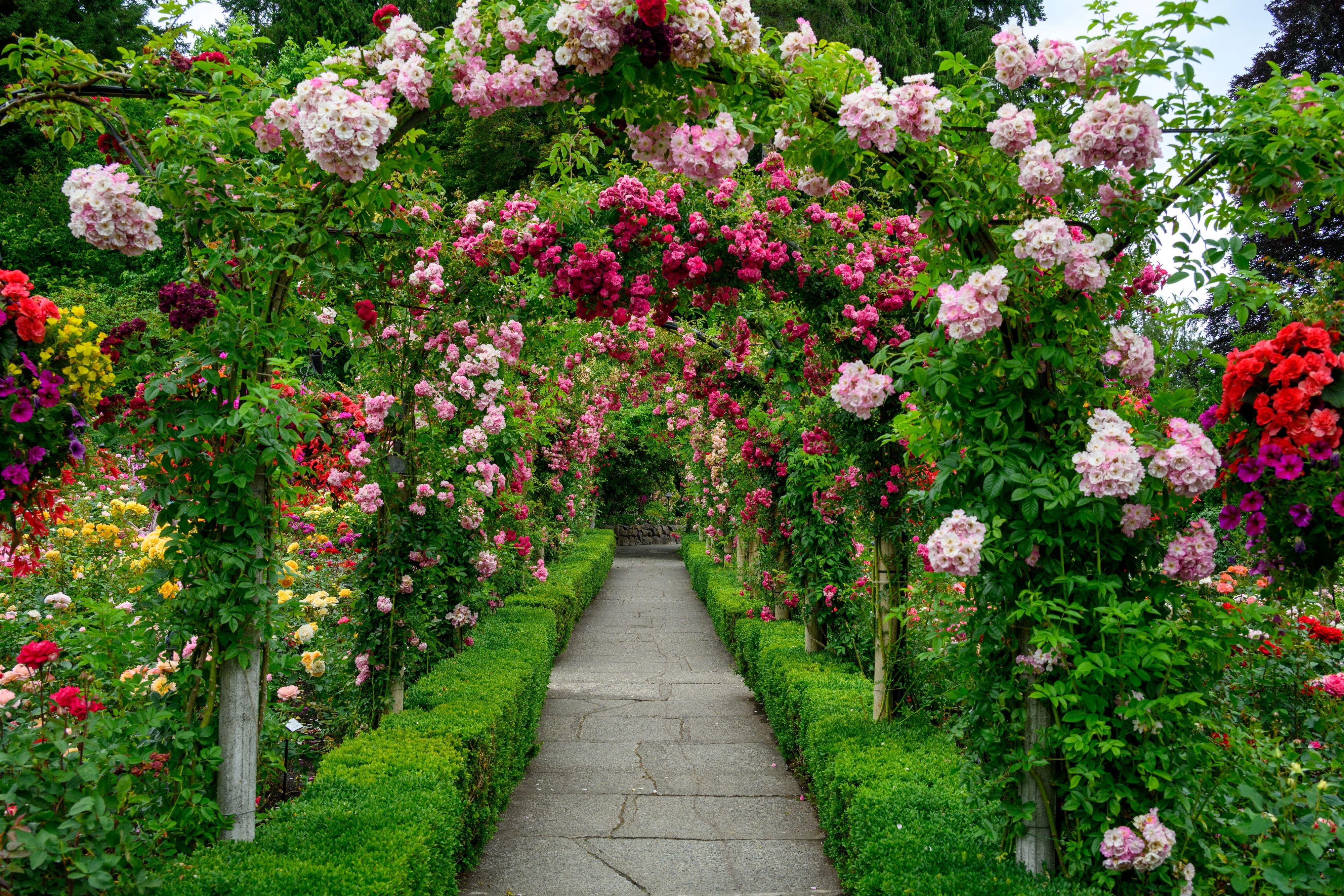 Vancouver: Victoria, Butchart Gardens & Gulf Islands Cruise