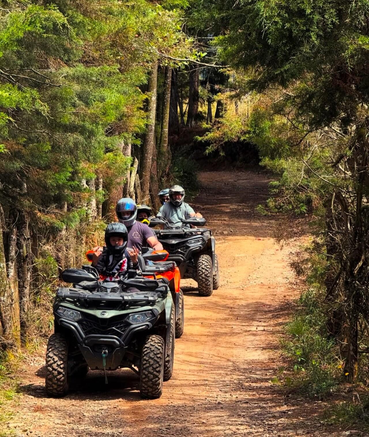 ATV Quad Forest Adventure from Medellín
