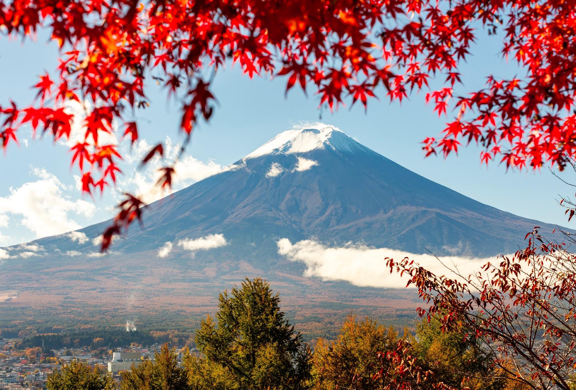 Mt Fuji day trip from Tokyo — image 23