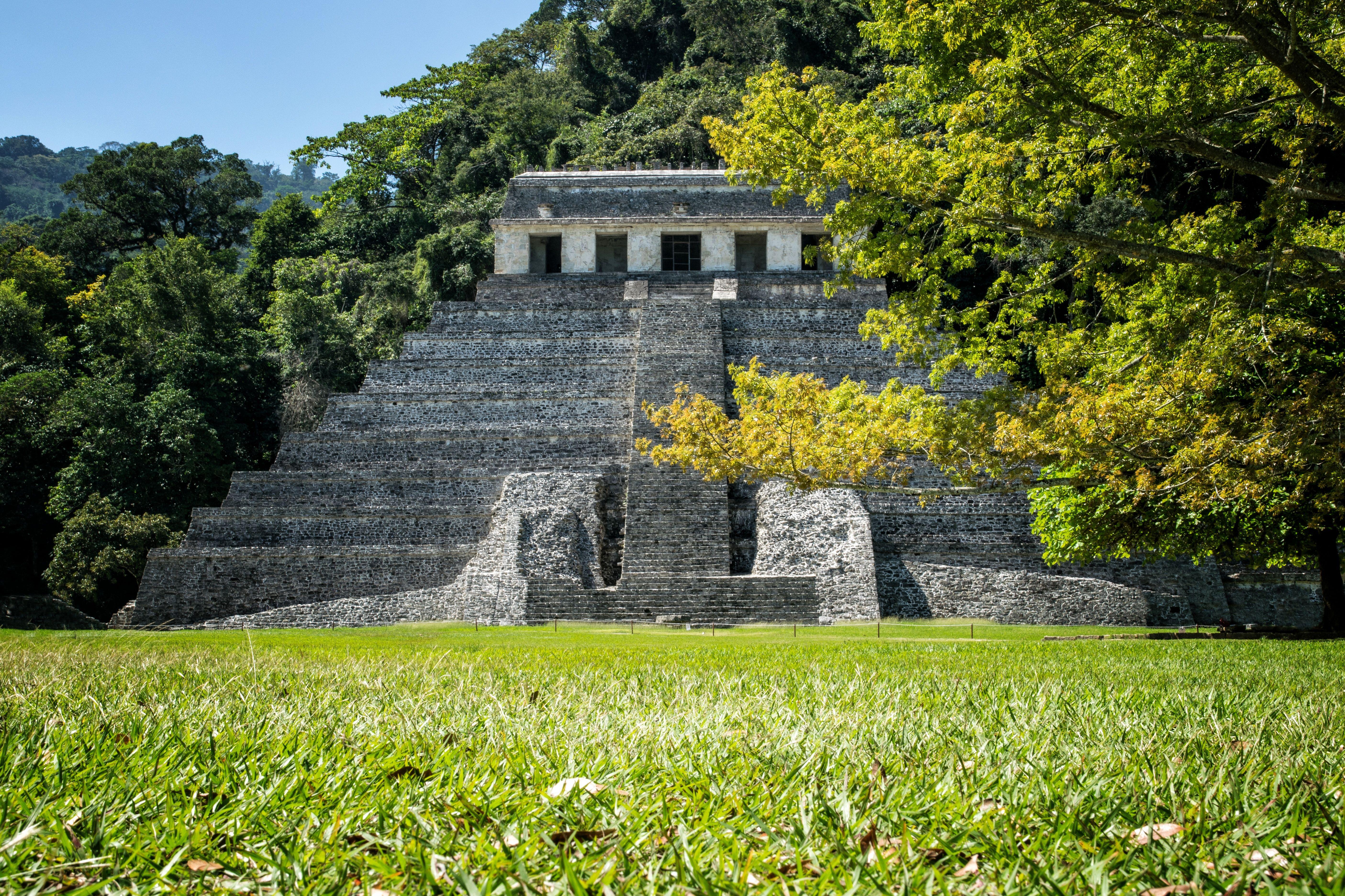 Palenque Mayan Ruins Skip-the-Line Entry with Jungle Setting