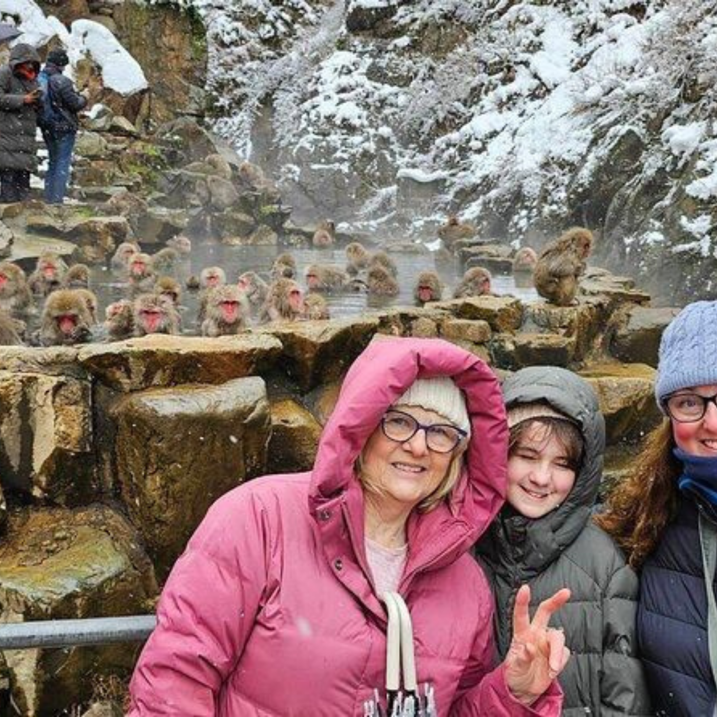 Nagano Snow Monkeys & Temples Private Full-Day Tour from Tokyo or Nagano
