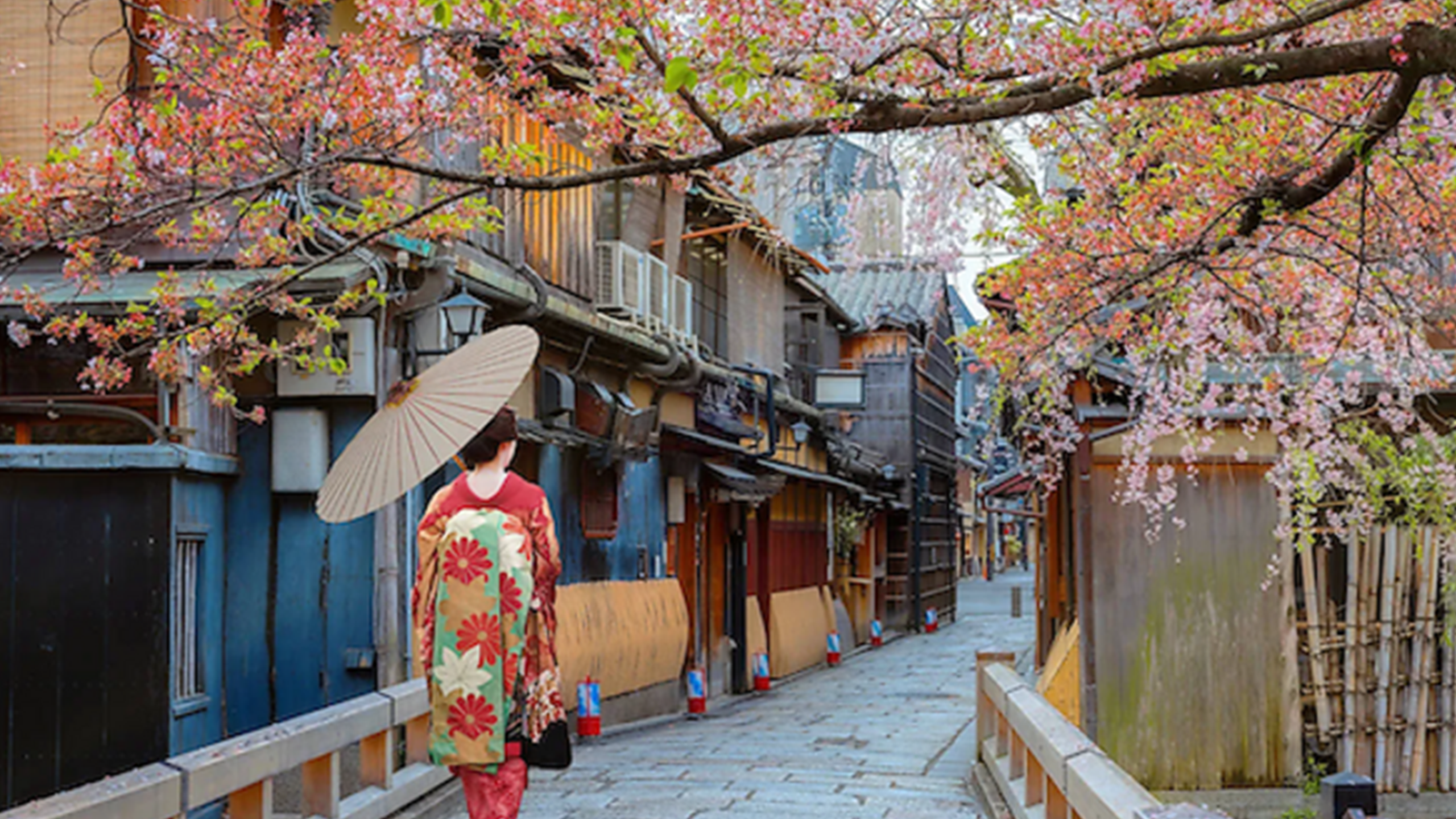 Private Gion Geisha District & Hidden Treasures Tour