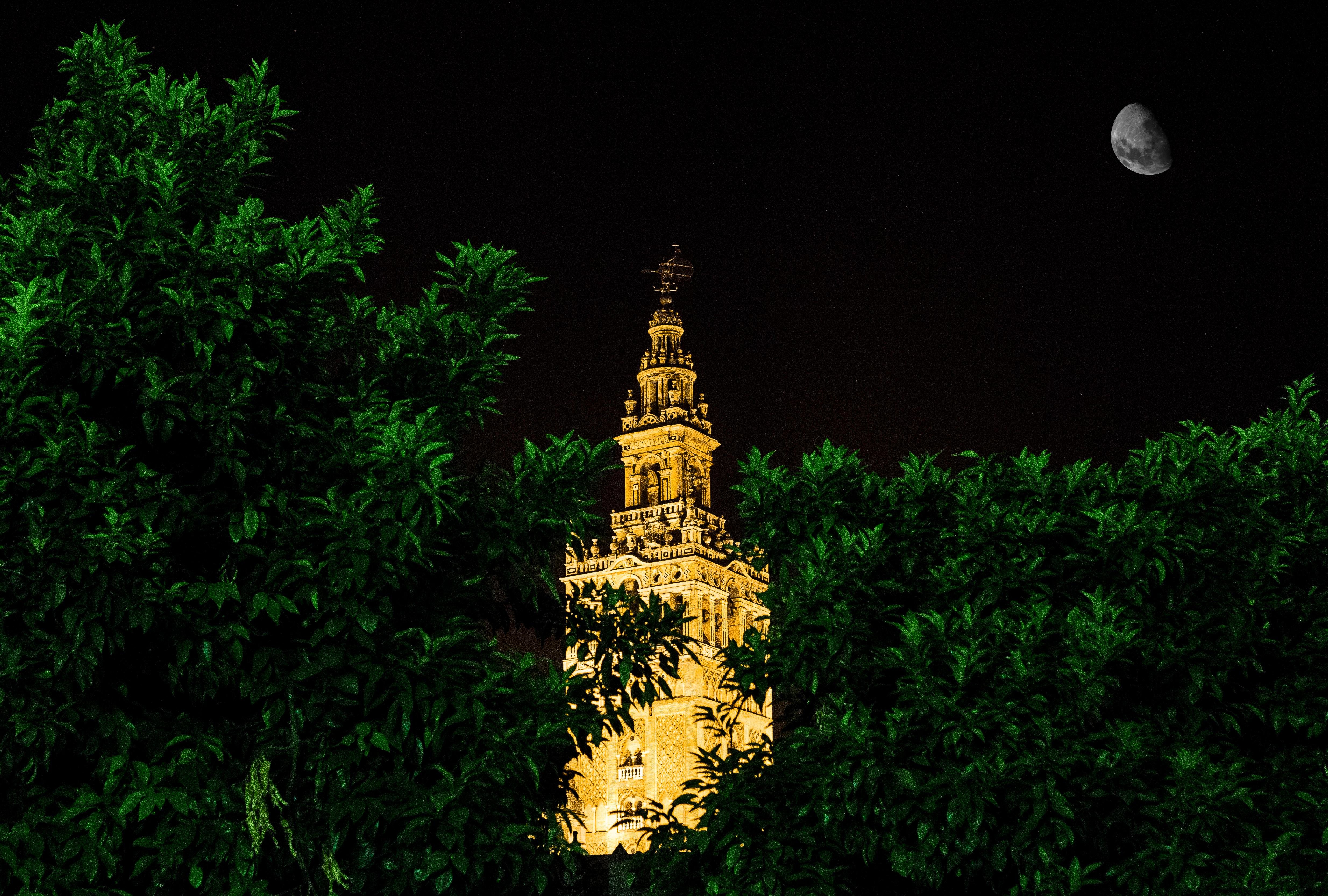 Seville Nocturnal Discovery: Historic Center & Riverside Walk
