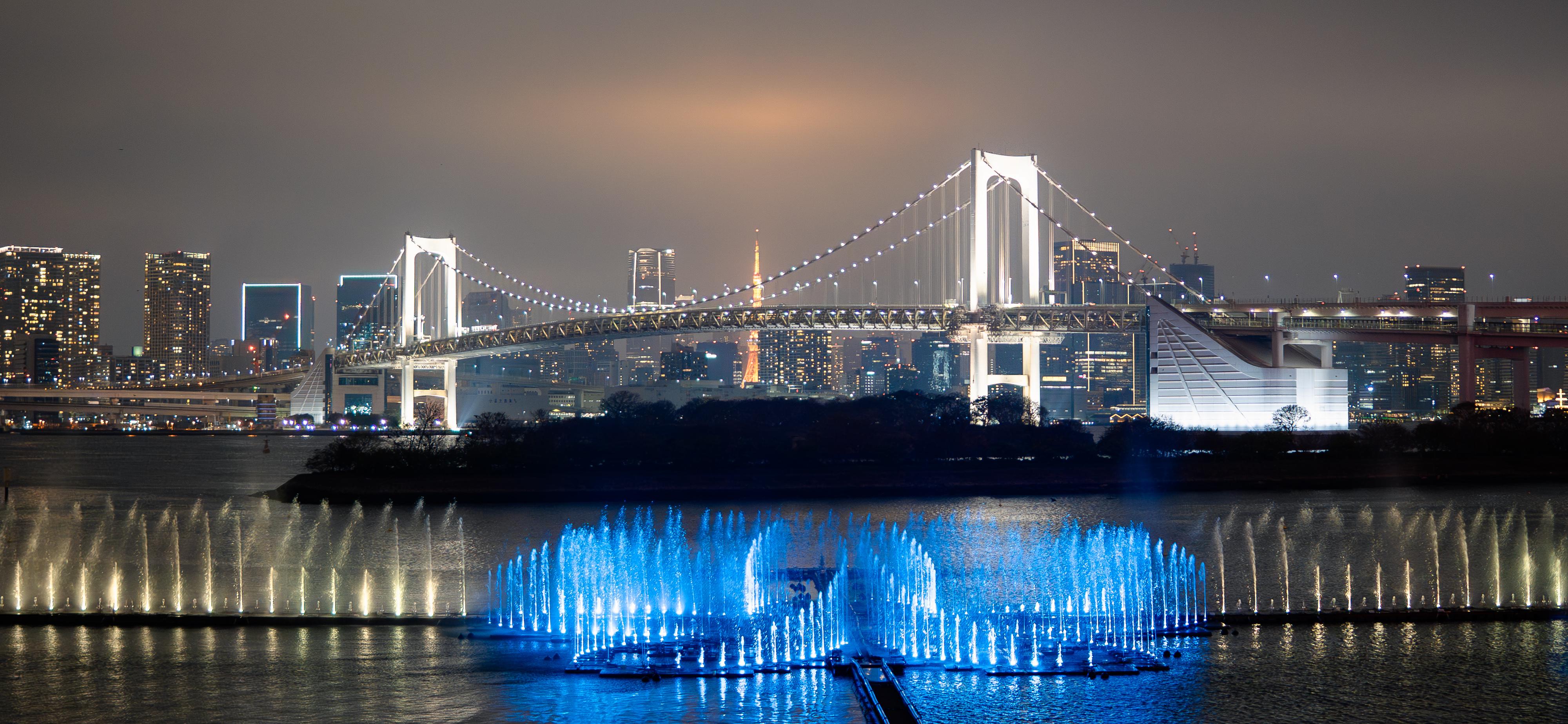 Tokyo Bay cruise — image 11