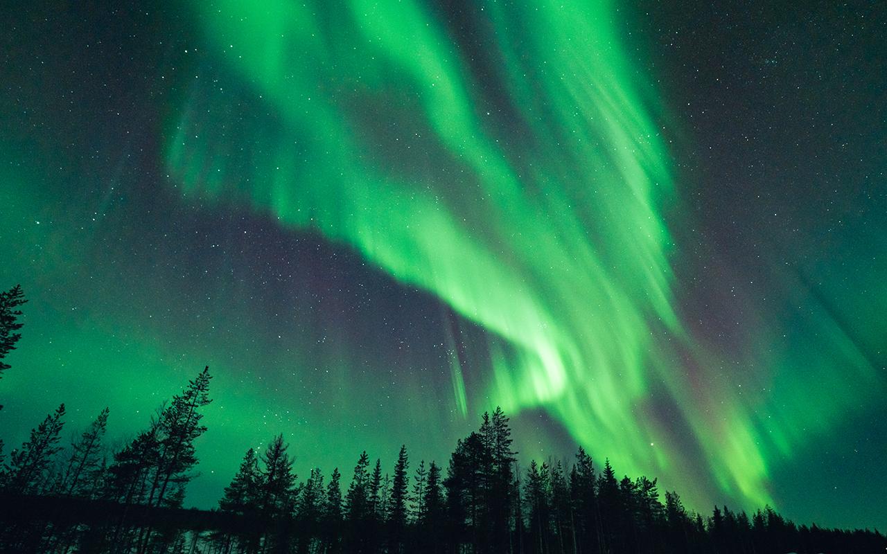 Rovaniemi Small-Group Northern Lights Hunt (Guaranteed)