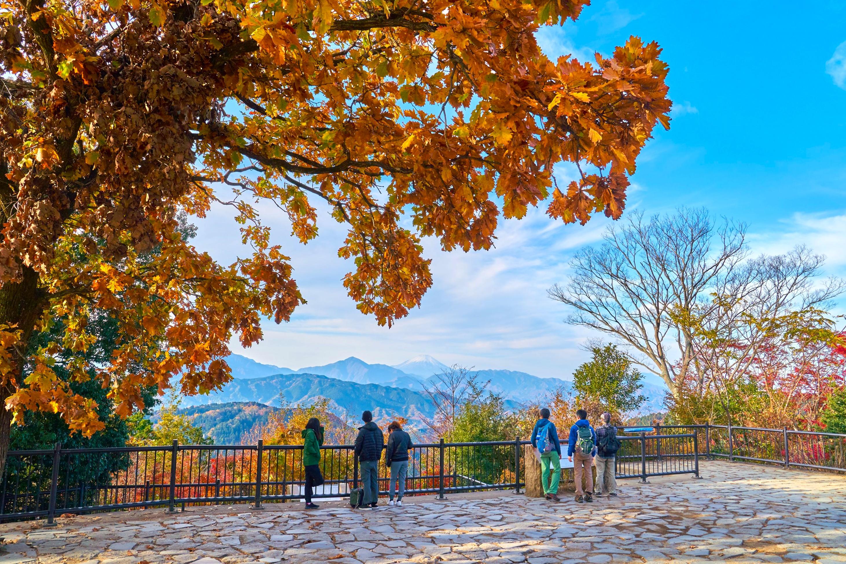 Mt. Takao & Showa Kinen Park Autumn Colors Tour