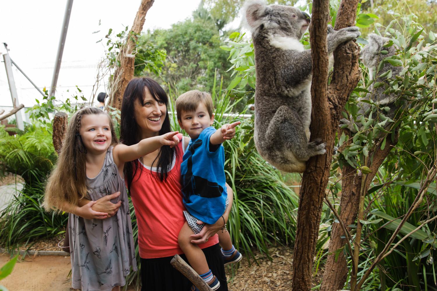 WILD LIFE Sydney Zoo Entry Ticket