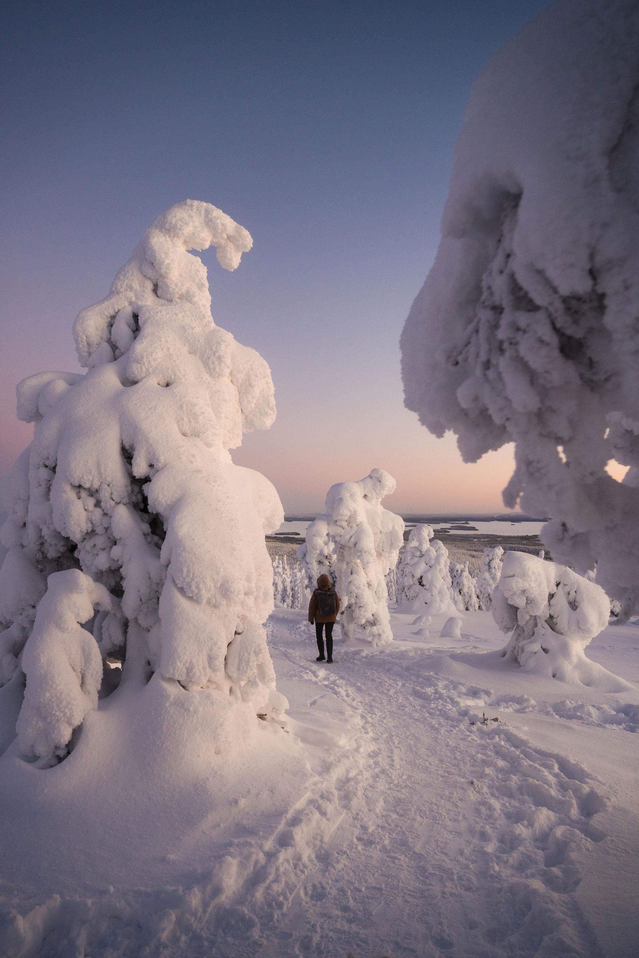 Riisitunturi Snow Monsters and Wilderness BBQ