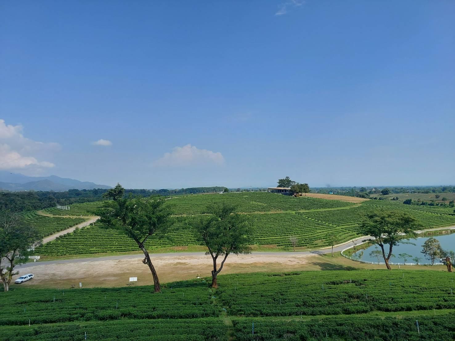 Chiang Rai Full-Day Highlights: Temples, Culture & Golden Triangle